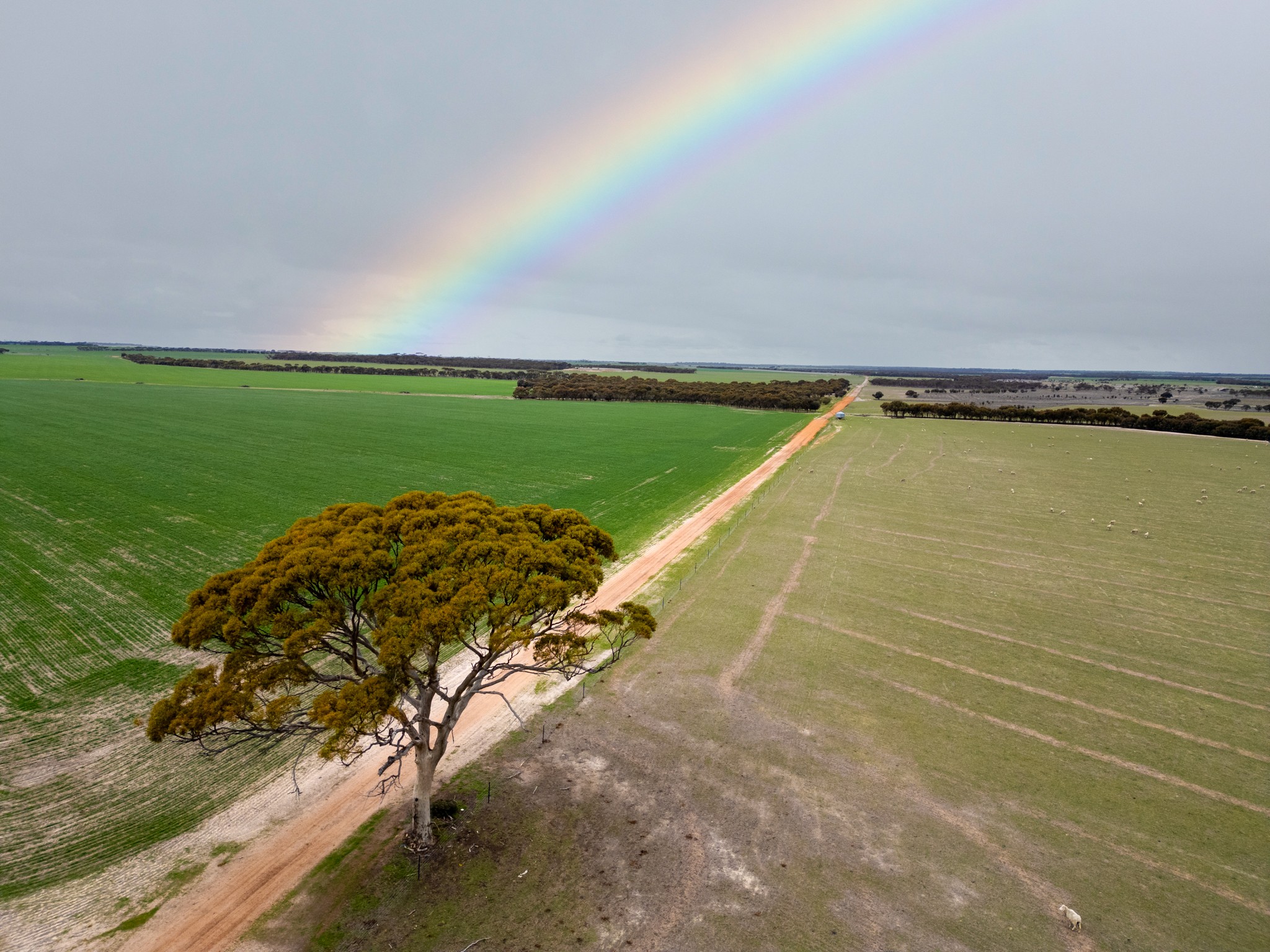 409 Dixon Road, Pingrup, WA 6343