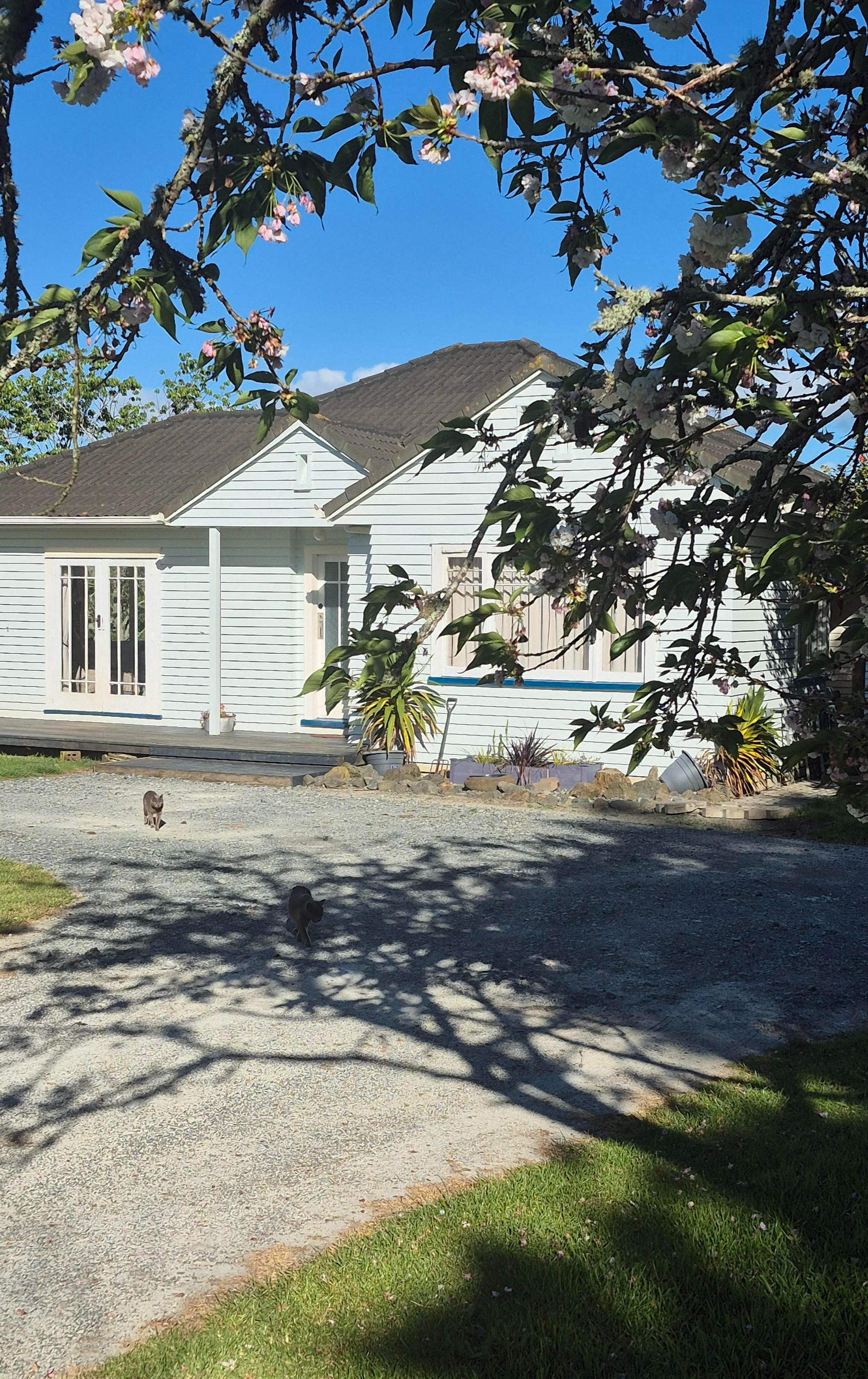 26 Puriri Glade, Maungaturoto, Kaipara District