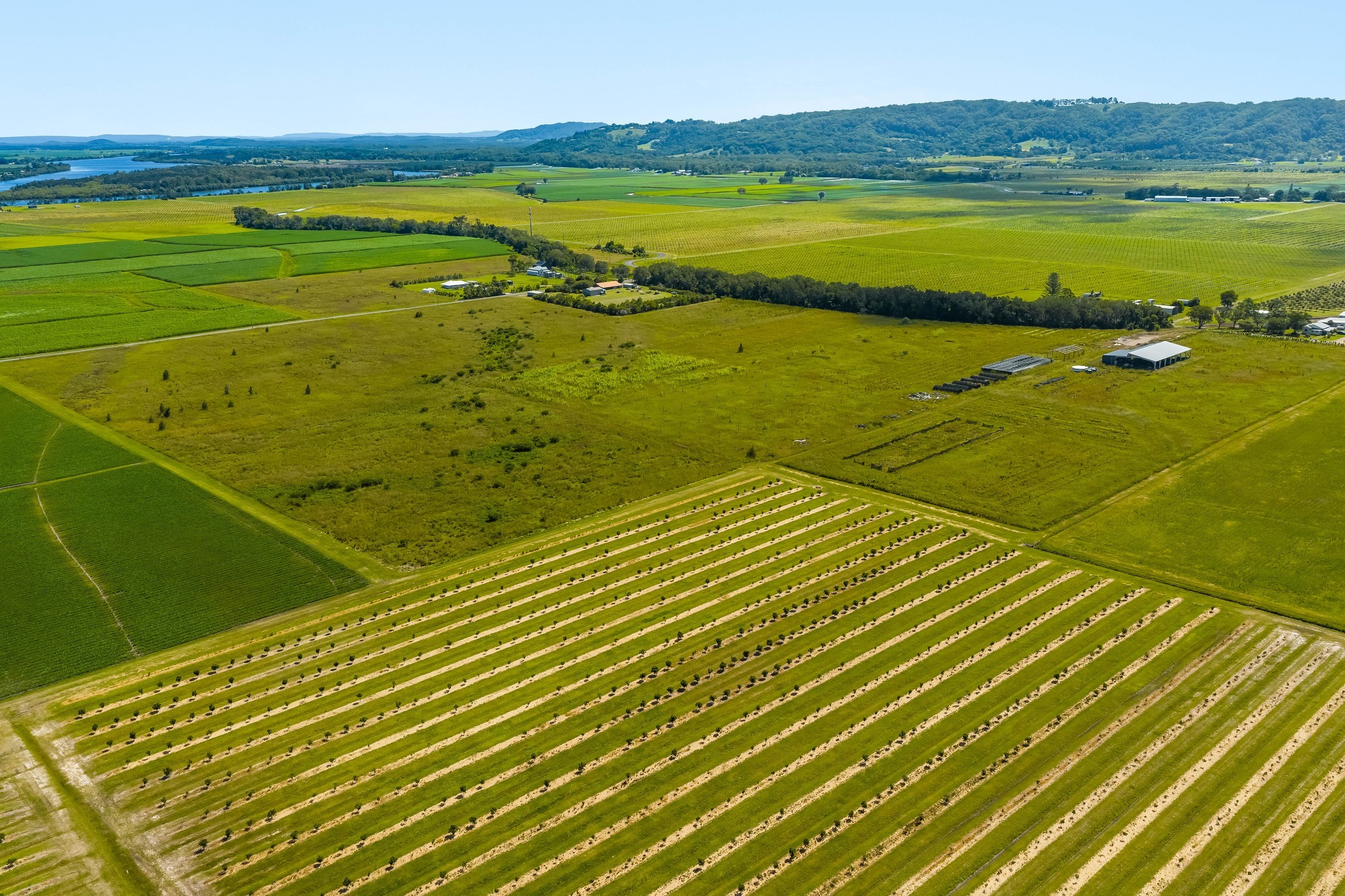 141 Hermans Lane, Pimlico, NSW 2478