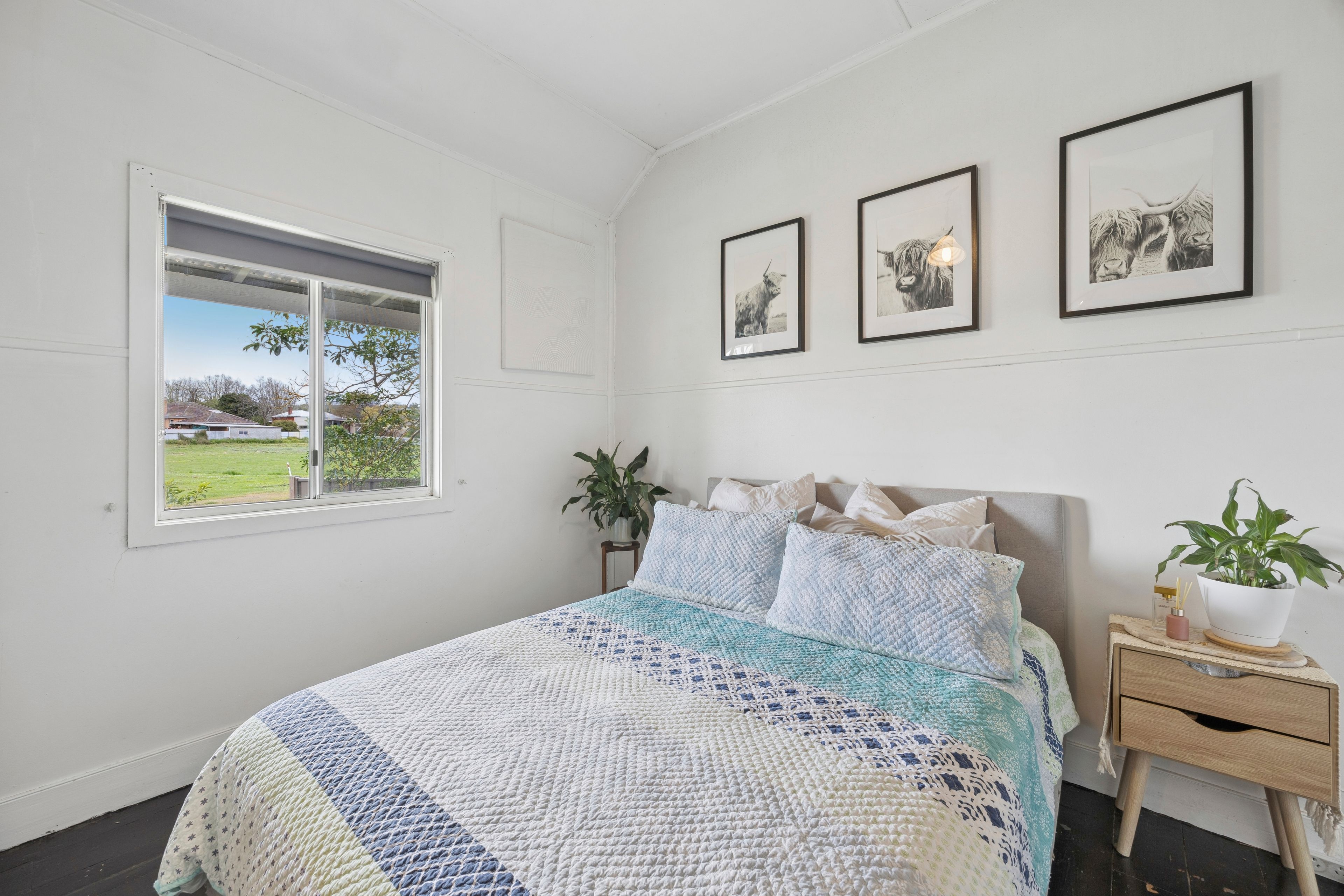 62 Fergusson Street — photo 9 of 14