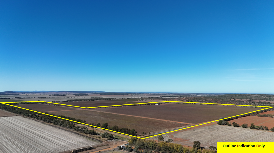 530 Dalton Road — photo from Ray White Rural Griffith