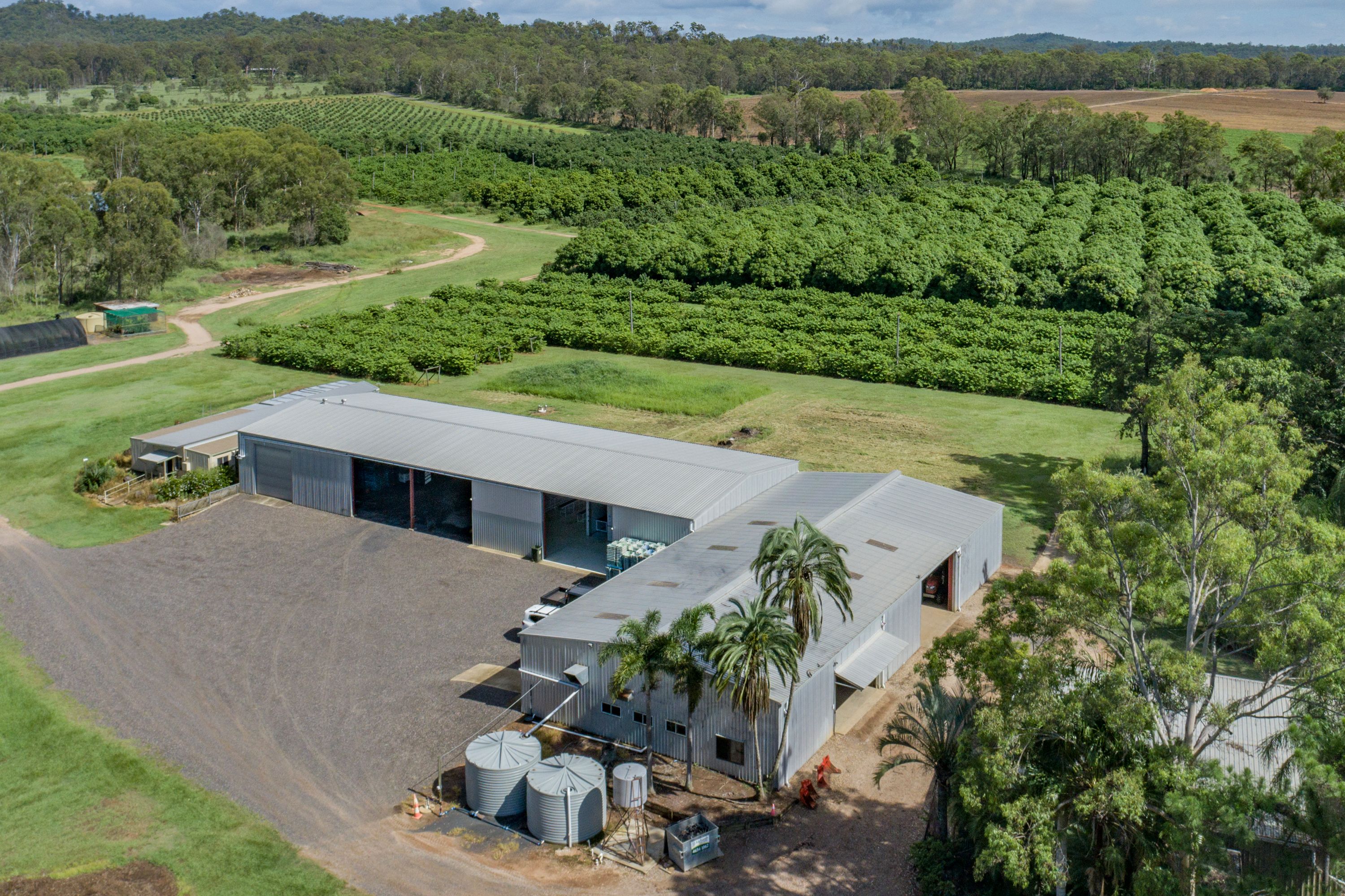 "Pinnacle Farms" 1411 Gatton Esk Road, Spring Creek, QLD 4343 Rural