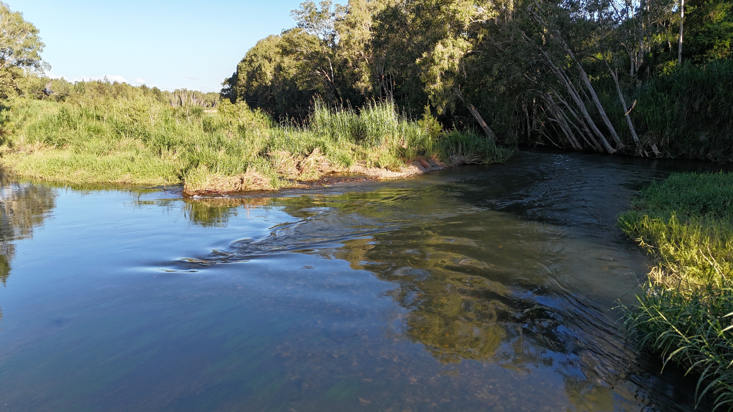 675 Gargett Mia Mia Road, Septimus, QLD 4754