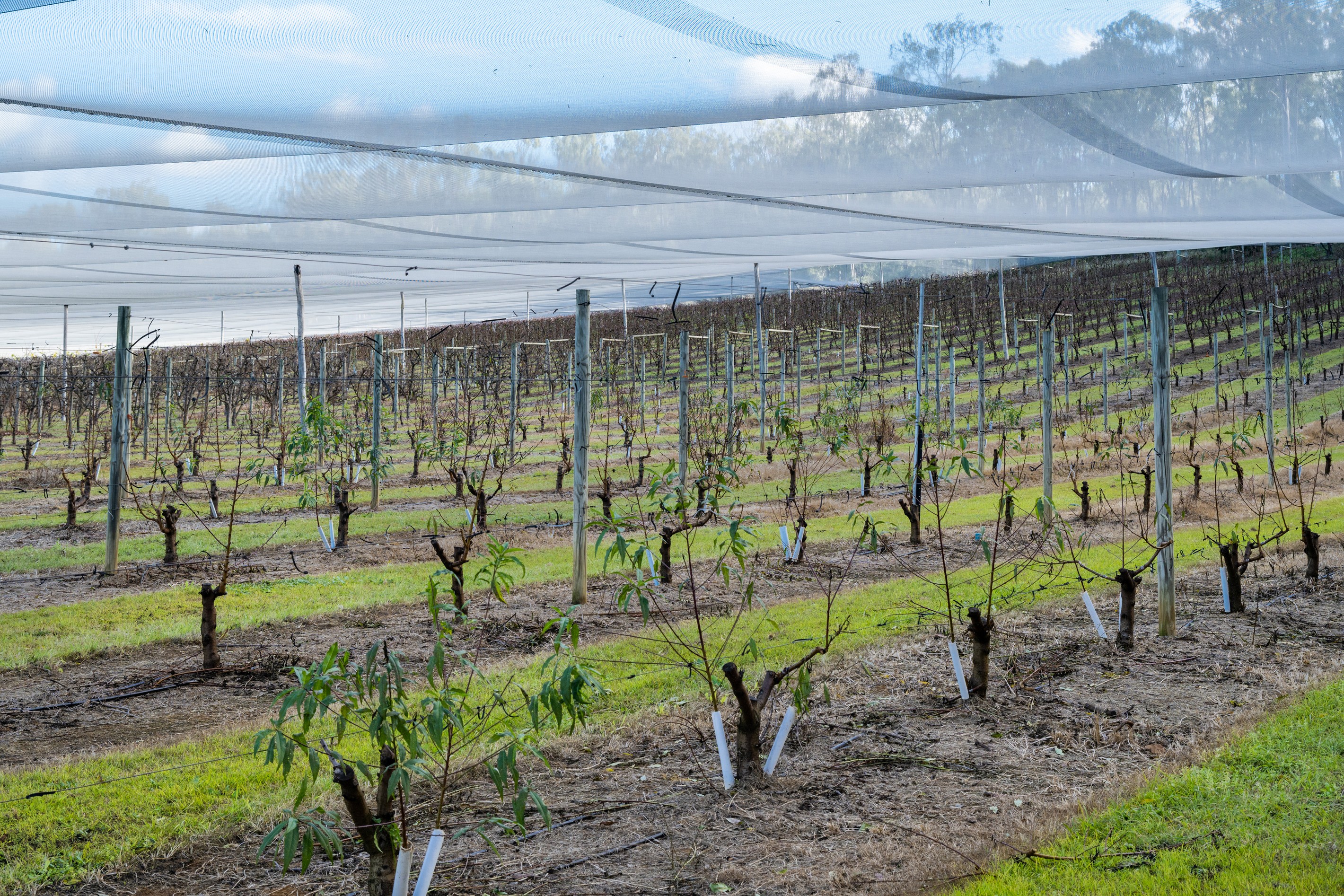 211 Sandy Creek Road, Grantham, QLD 4347