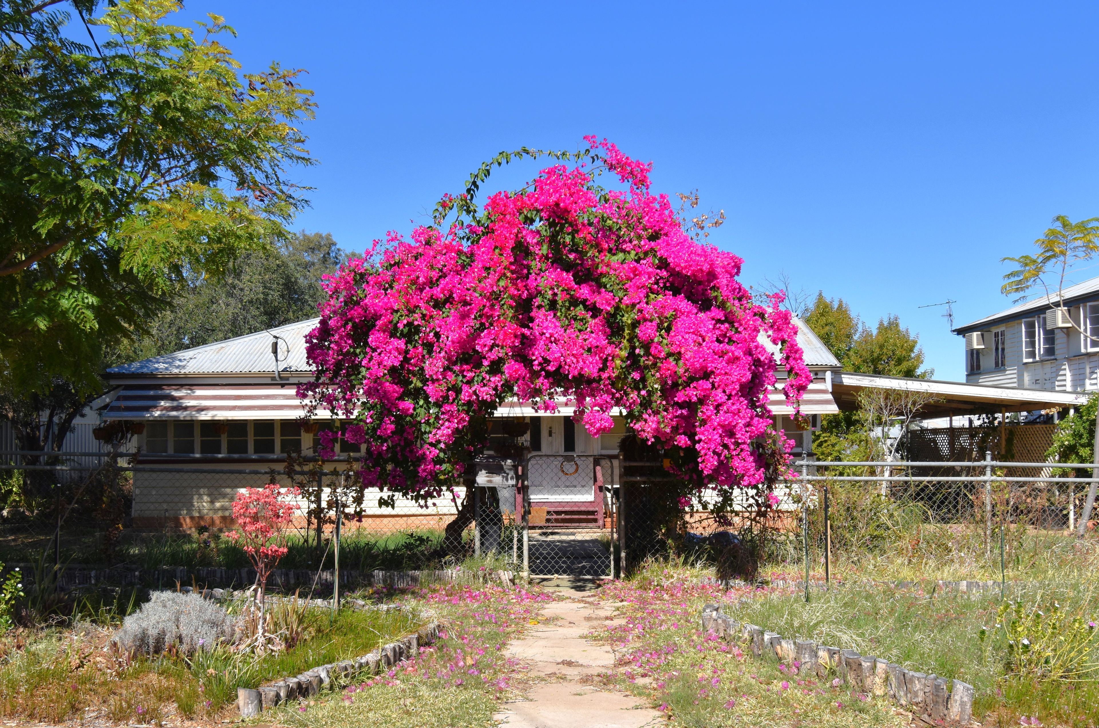 9 Quail Street, Longreach, QLD 4730 Sold House Ray White Longreach