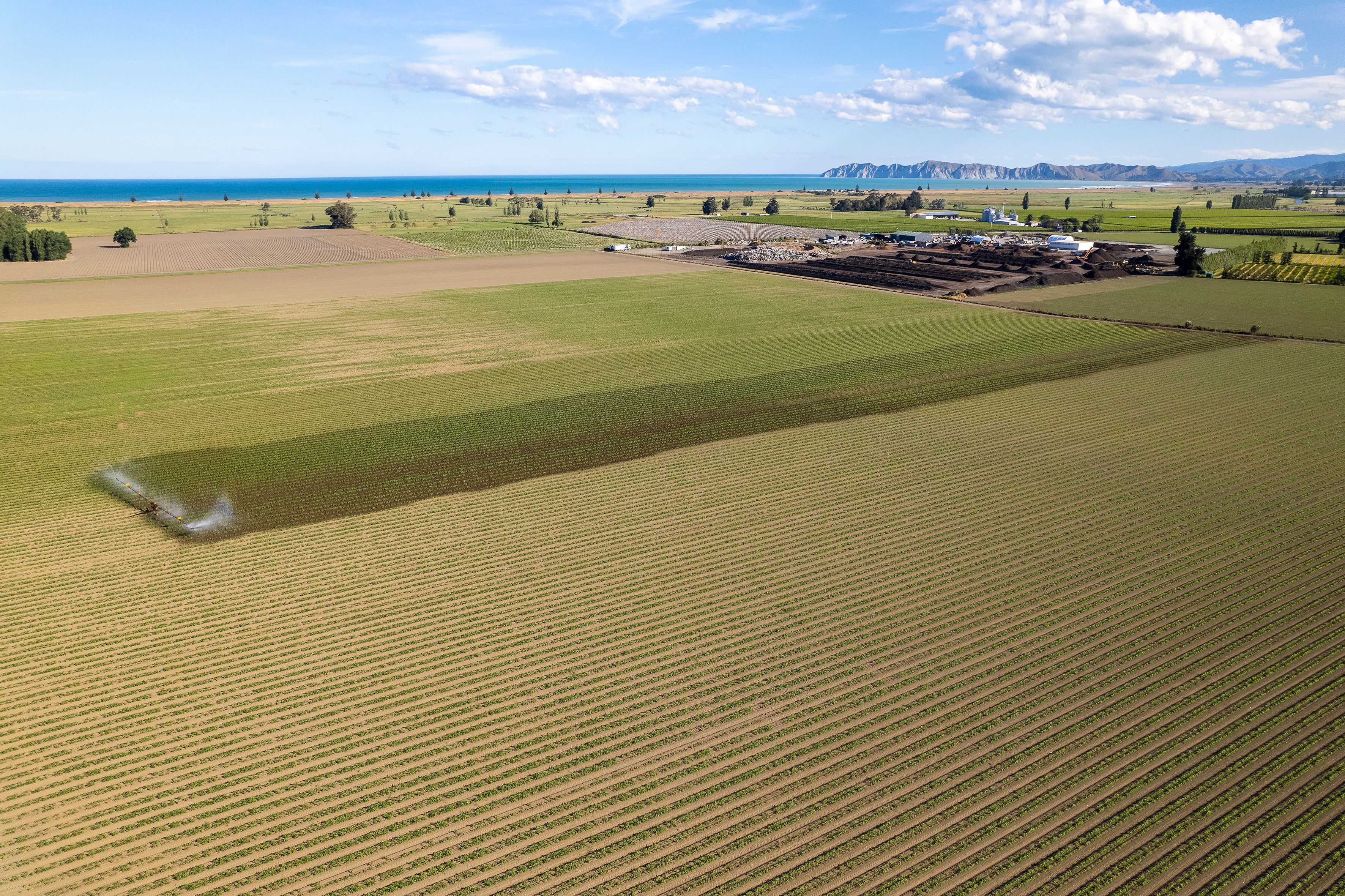0 Awapuni Road, Matawhero, Gisborne District