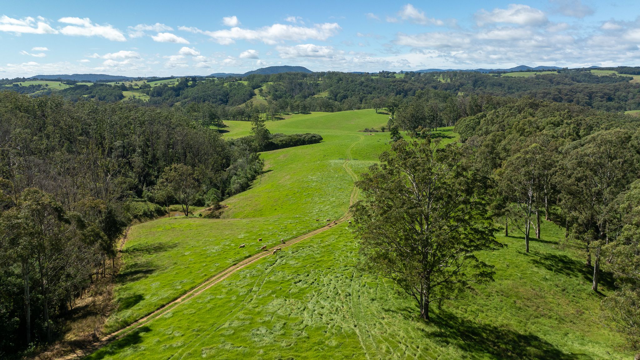 624 Deer Vale Road, Dorrigo, NSW 2453 Rural Property for Sale Ray