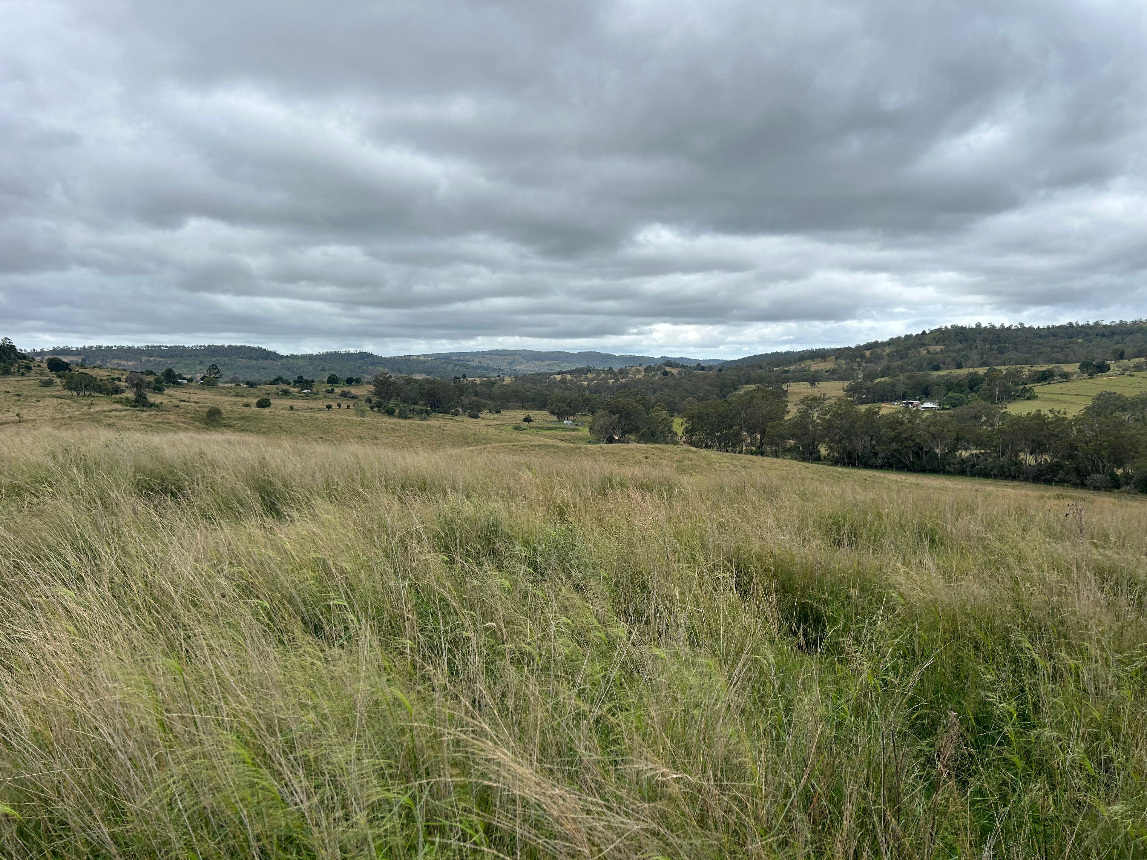 Lot 295 Schick Road, Thornville, QLD 4352 Rural Property for Sale