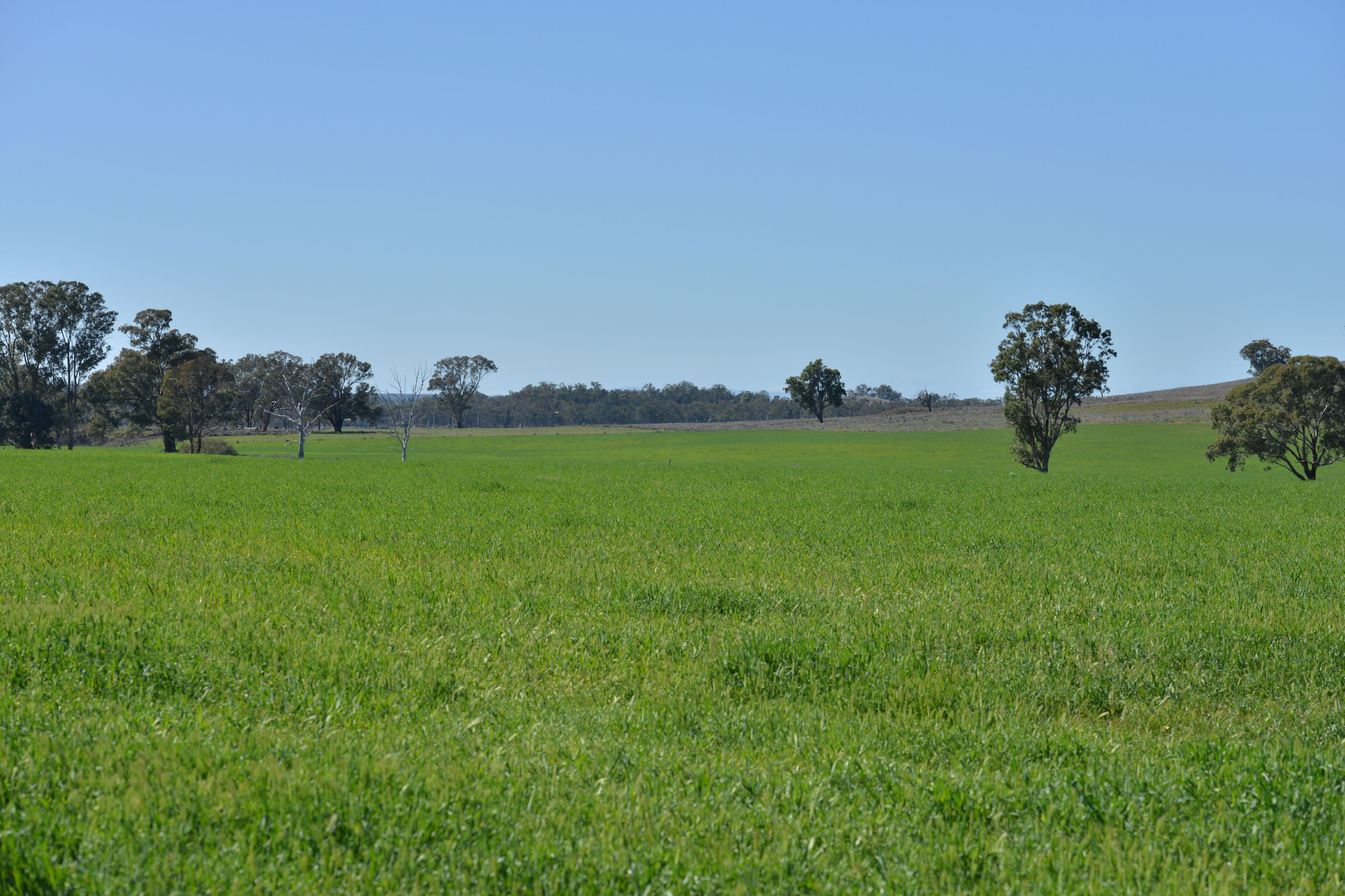4861 Coonabarabran Road — photo 8 of 30