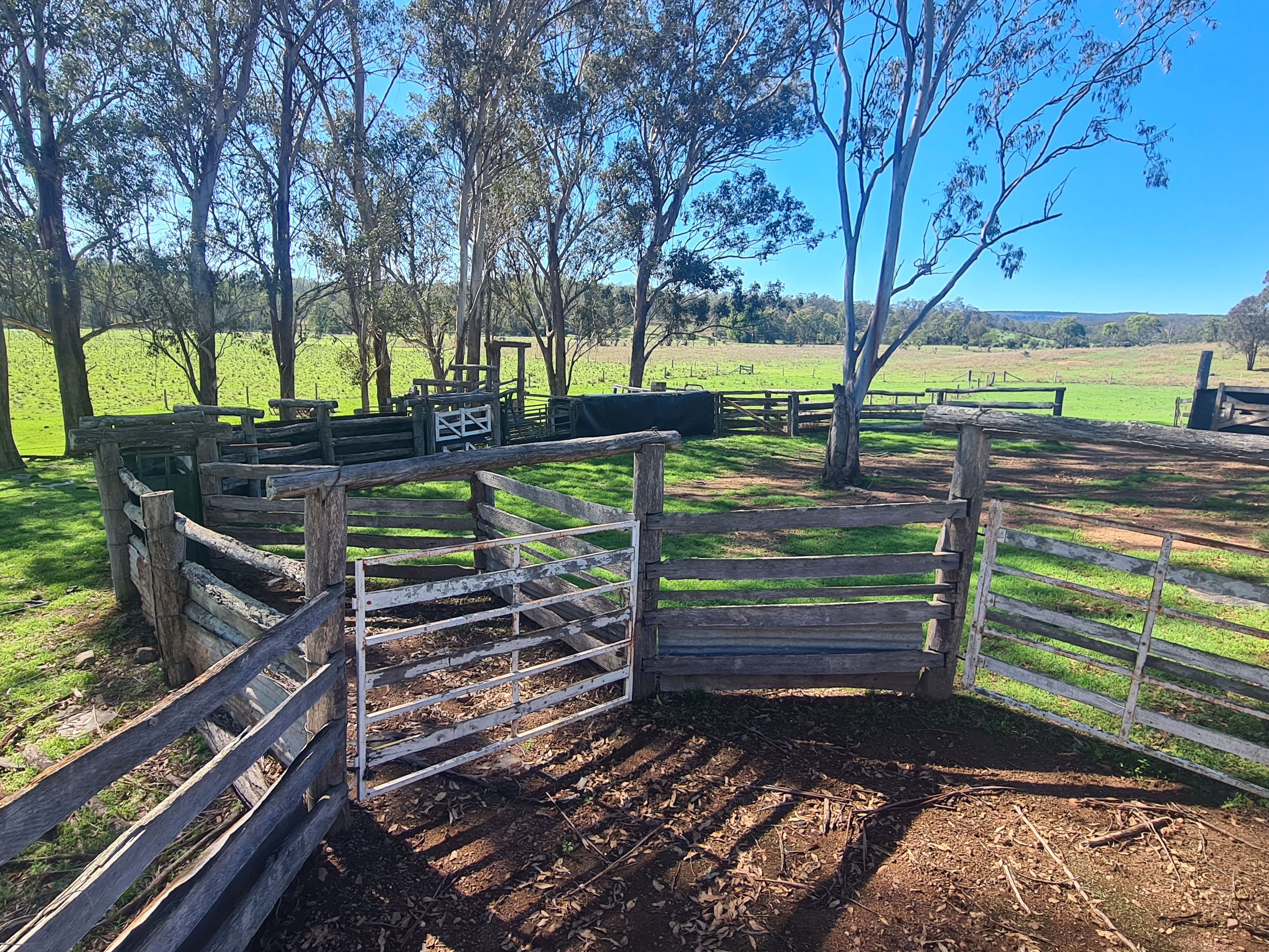 Lot 22 Cooyar Mt Binga Road, Mount Binga, QLD 4314 Sold Rural Property Ray White Rural Crows