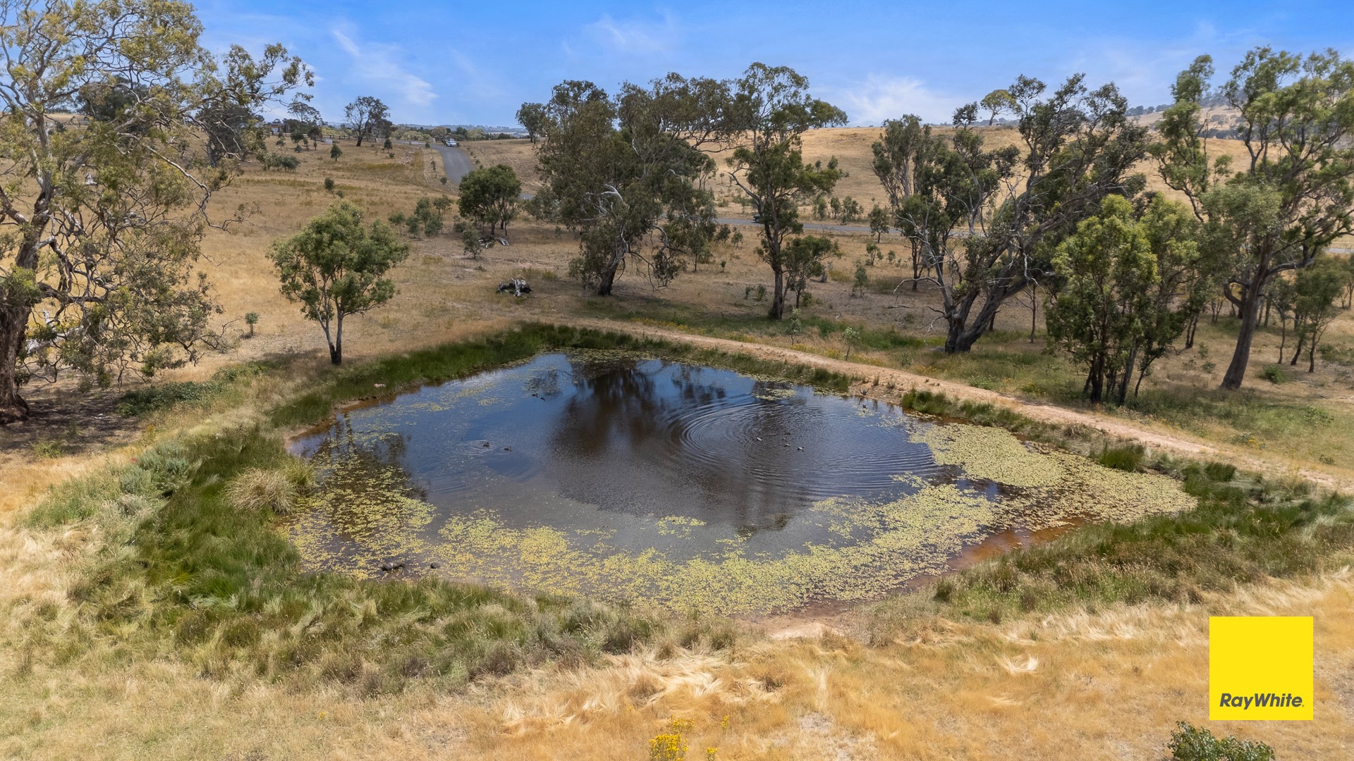 132 Woodbury Drive, Sutton, NSW 2620