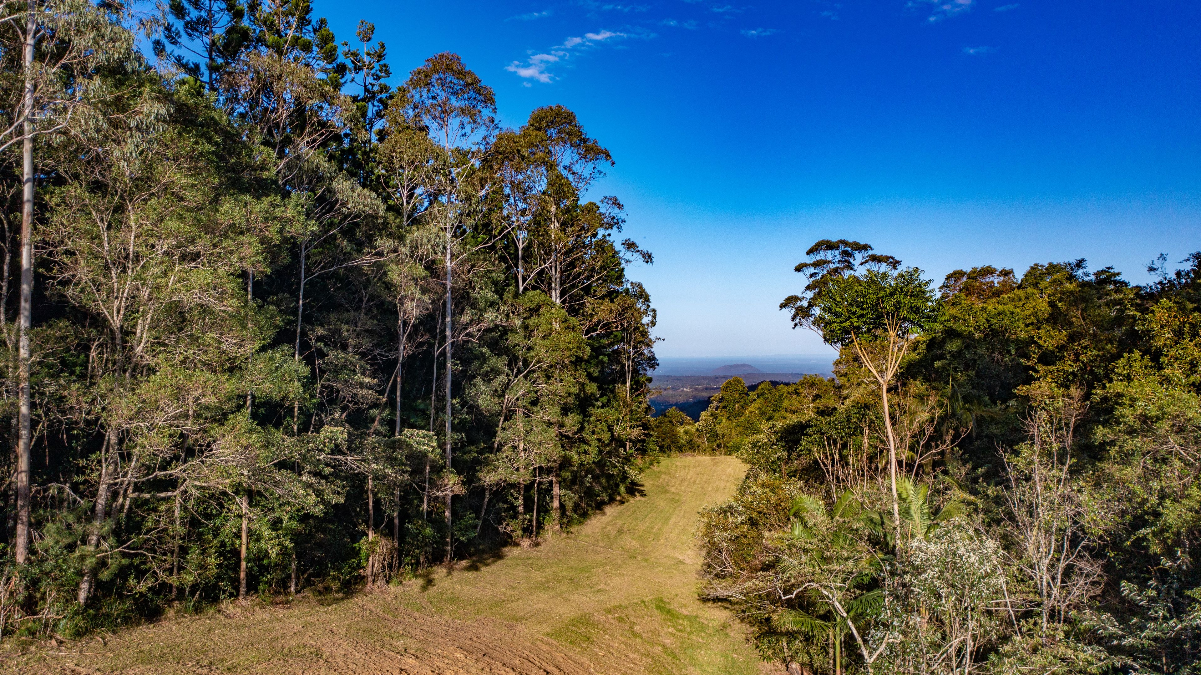 931 Maleny Stanley River Road, Booroobin, QLD 4552 Sold Home Ray