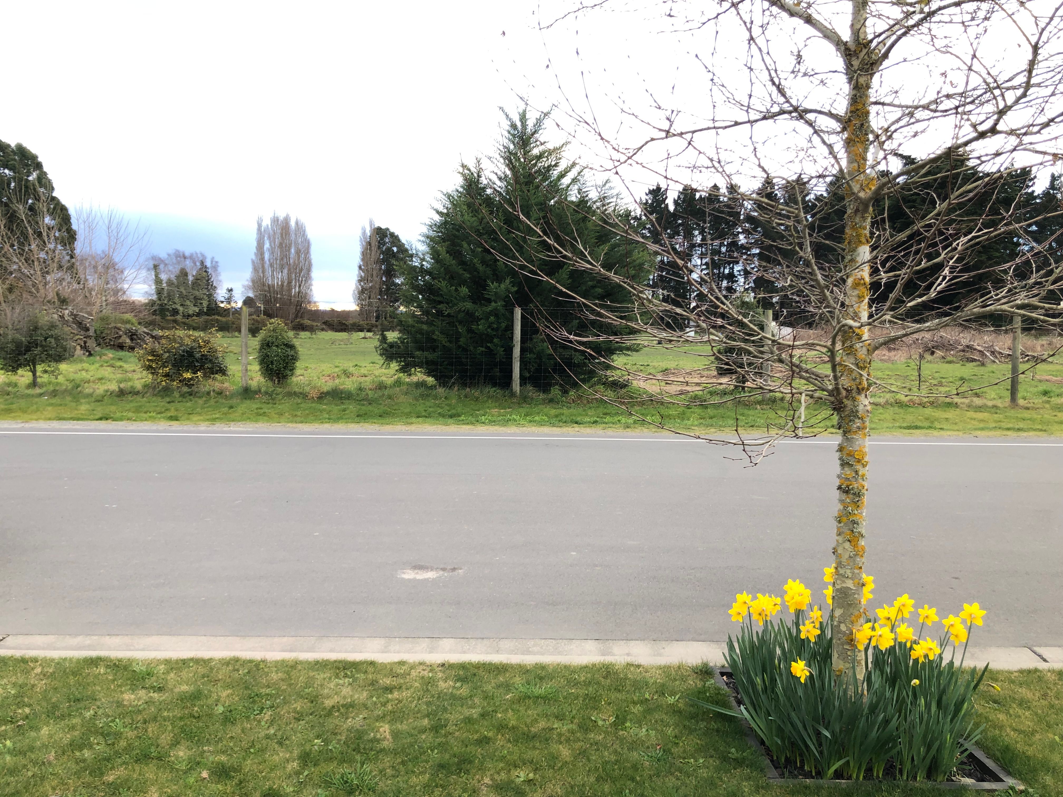 10 Dunlops Road, Marshland, Christchurch City