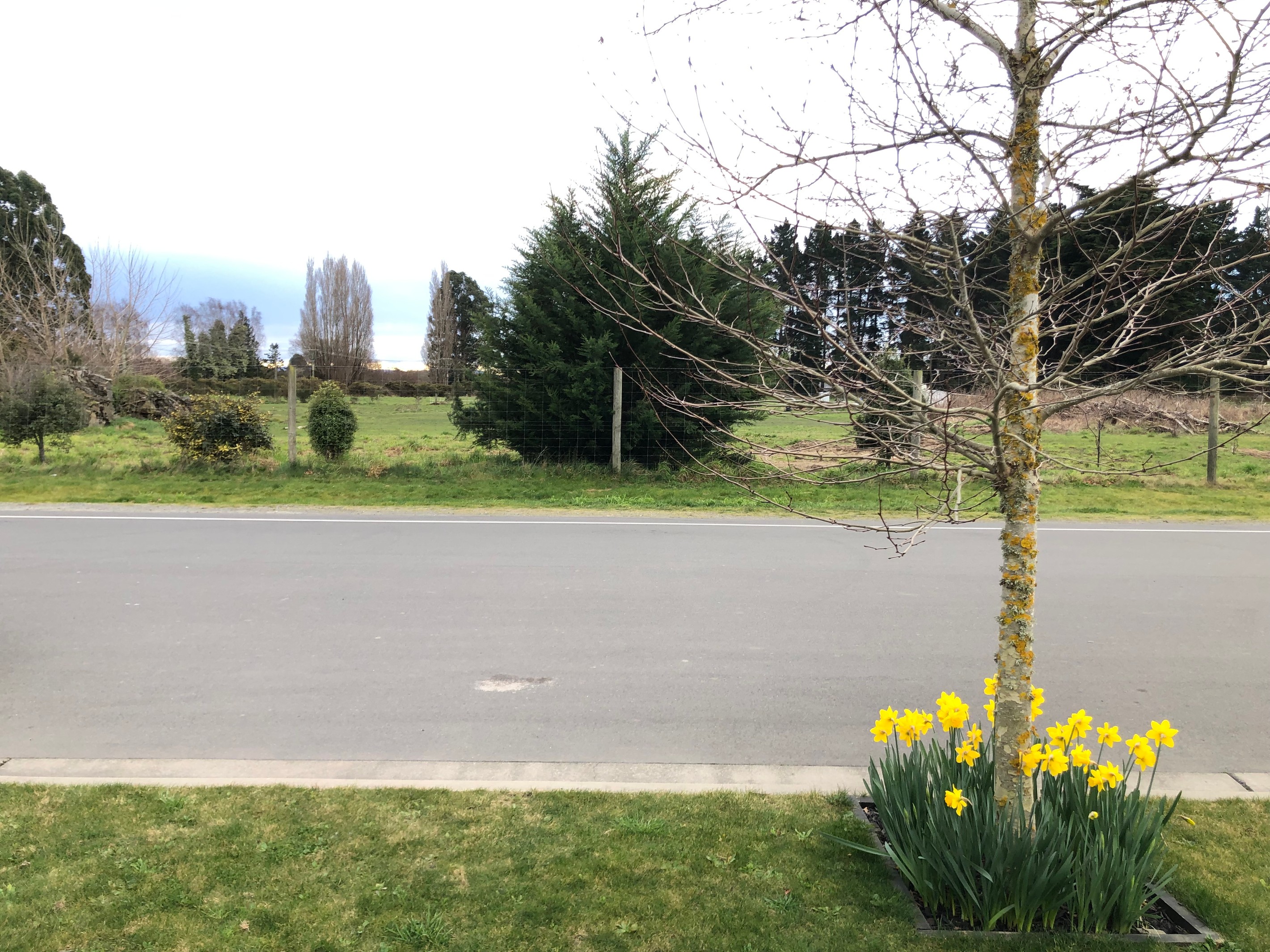 10 Dunlops Road, Marshland, Christchurch City