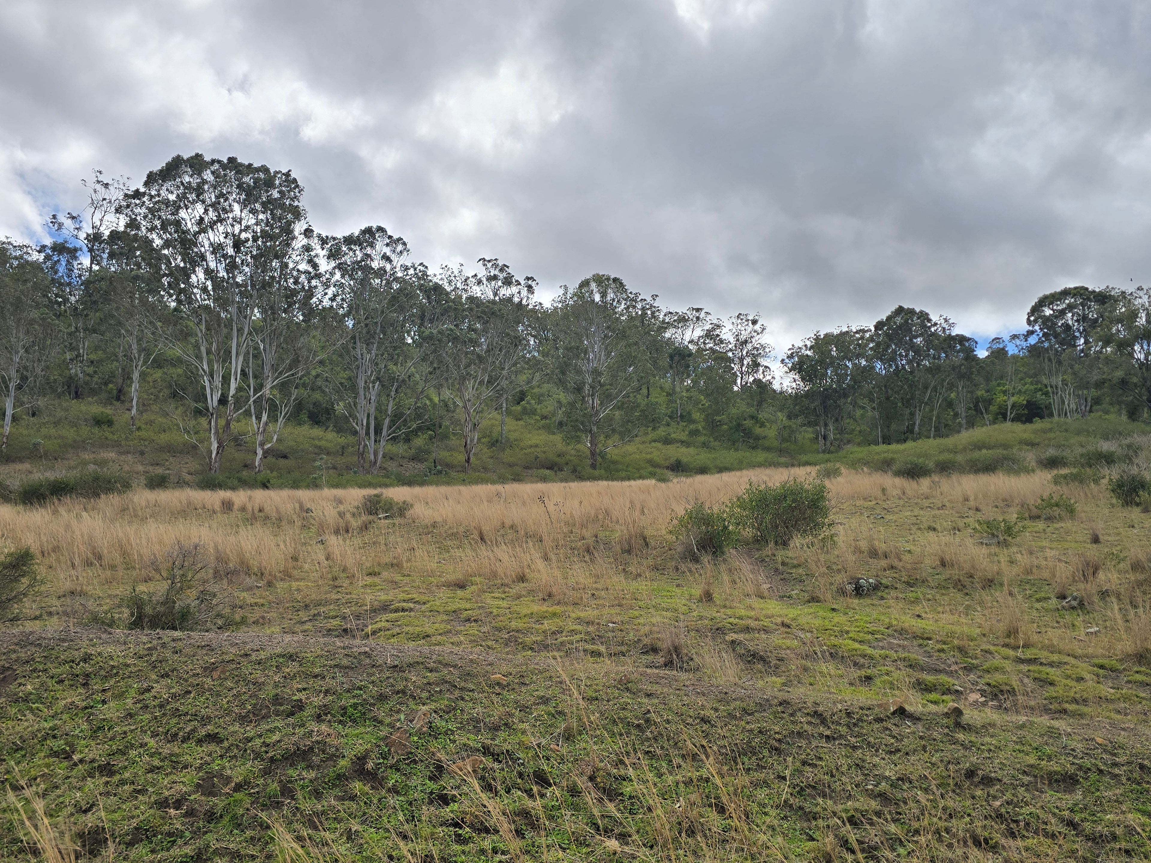 Lot 314 New England Highway — photo 8 of 14