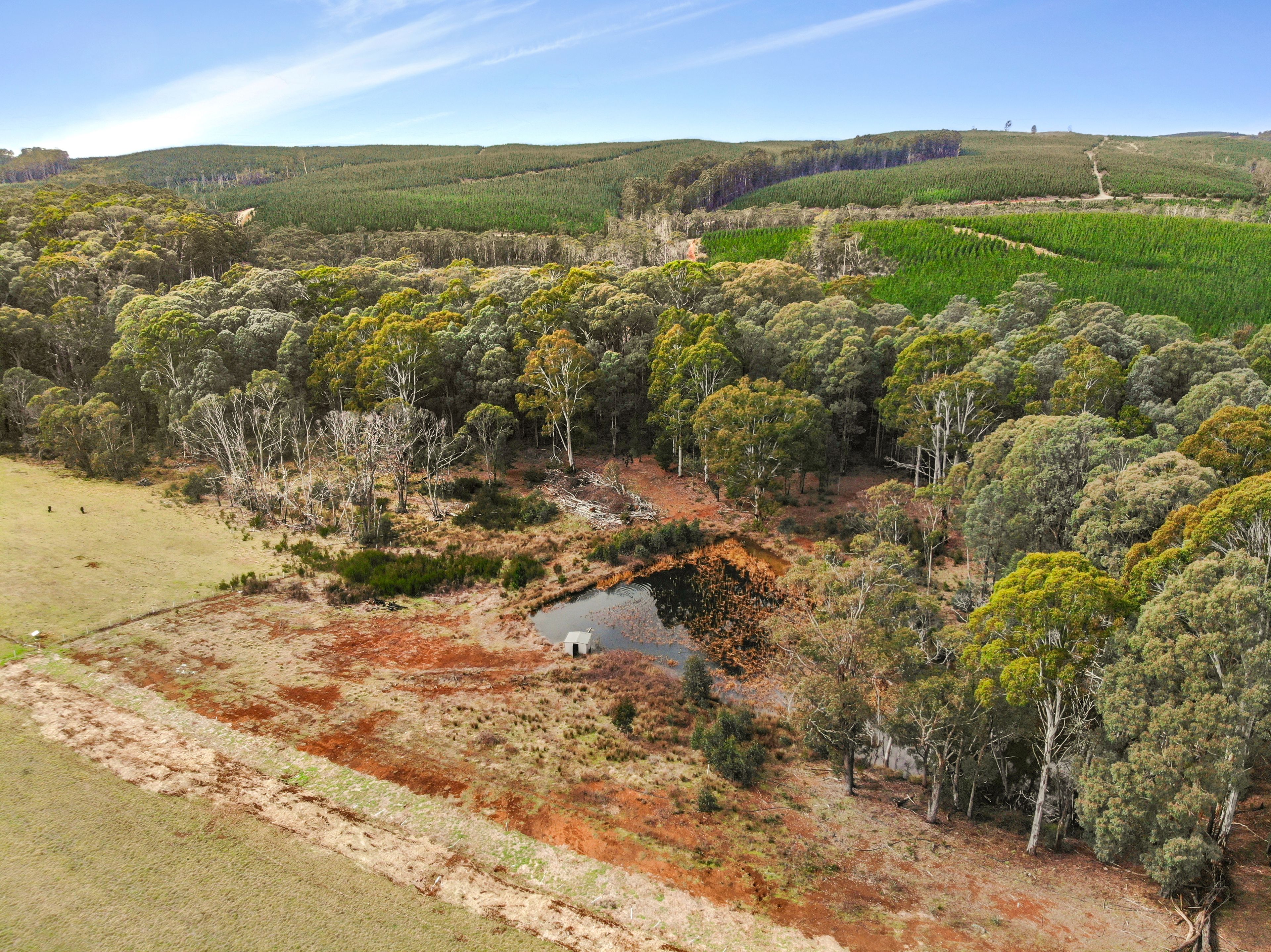 601 Back Kunama Road — photo 18 of 18