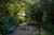 241 Kennedys Bush Road photo 51