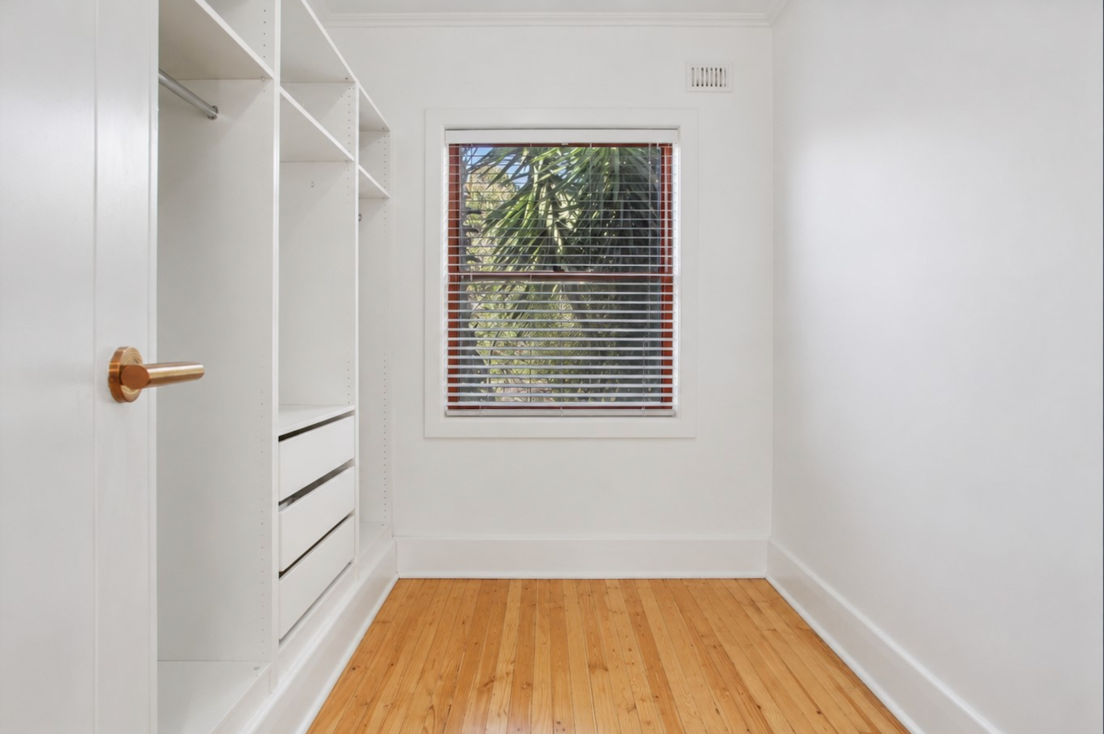 55 Barry Road — photo 6 of 9