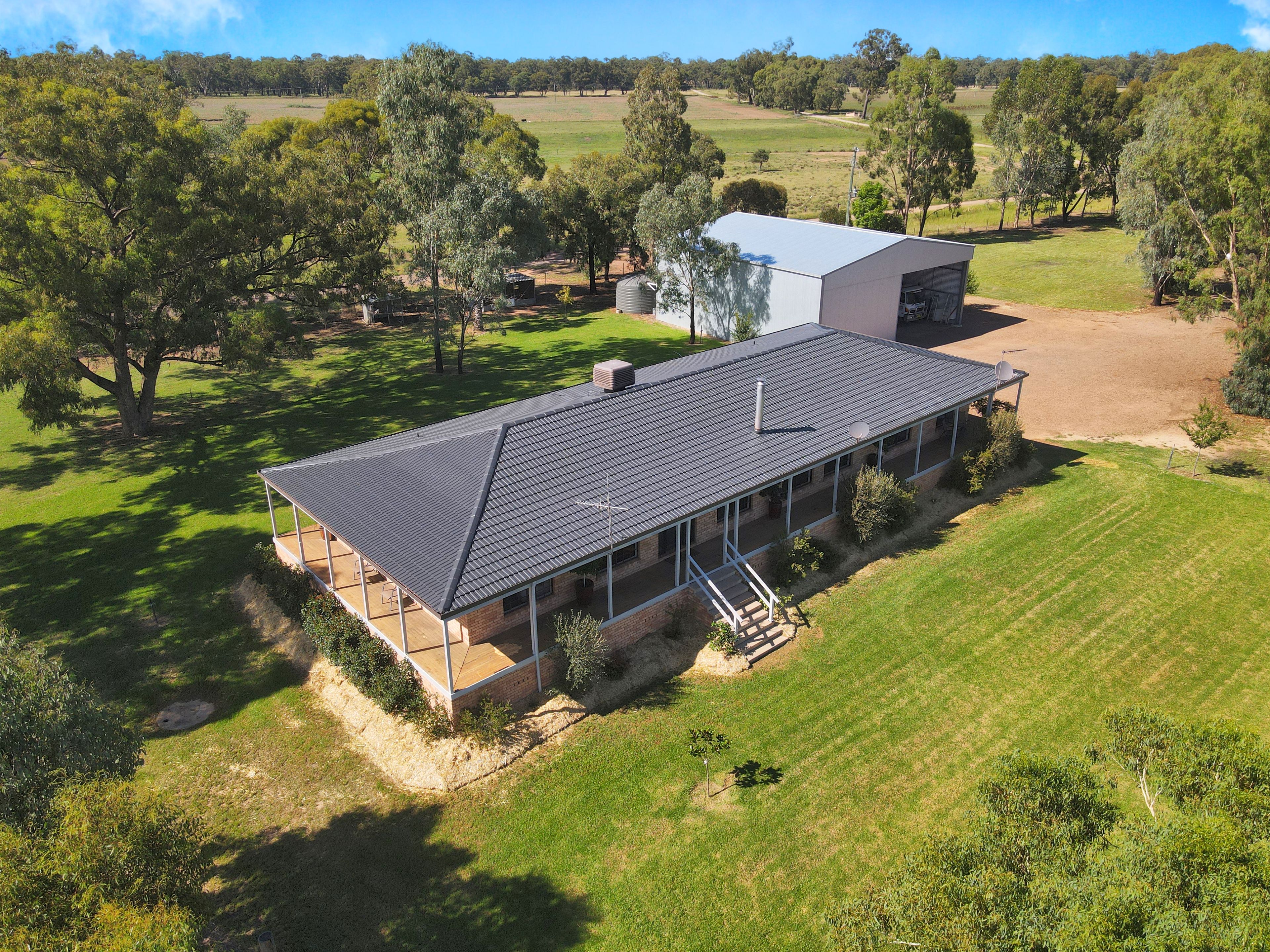 98 Yellow Box Road, Forbes, NSW 2871