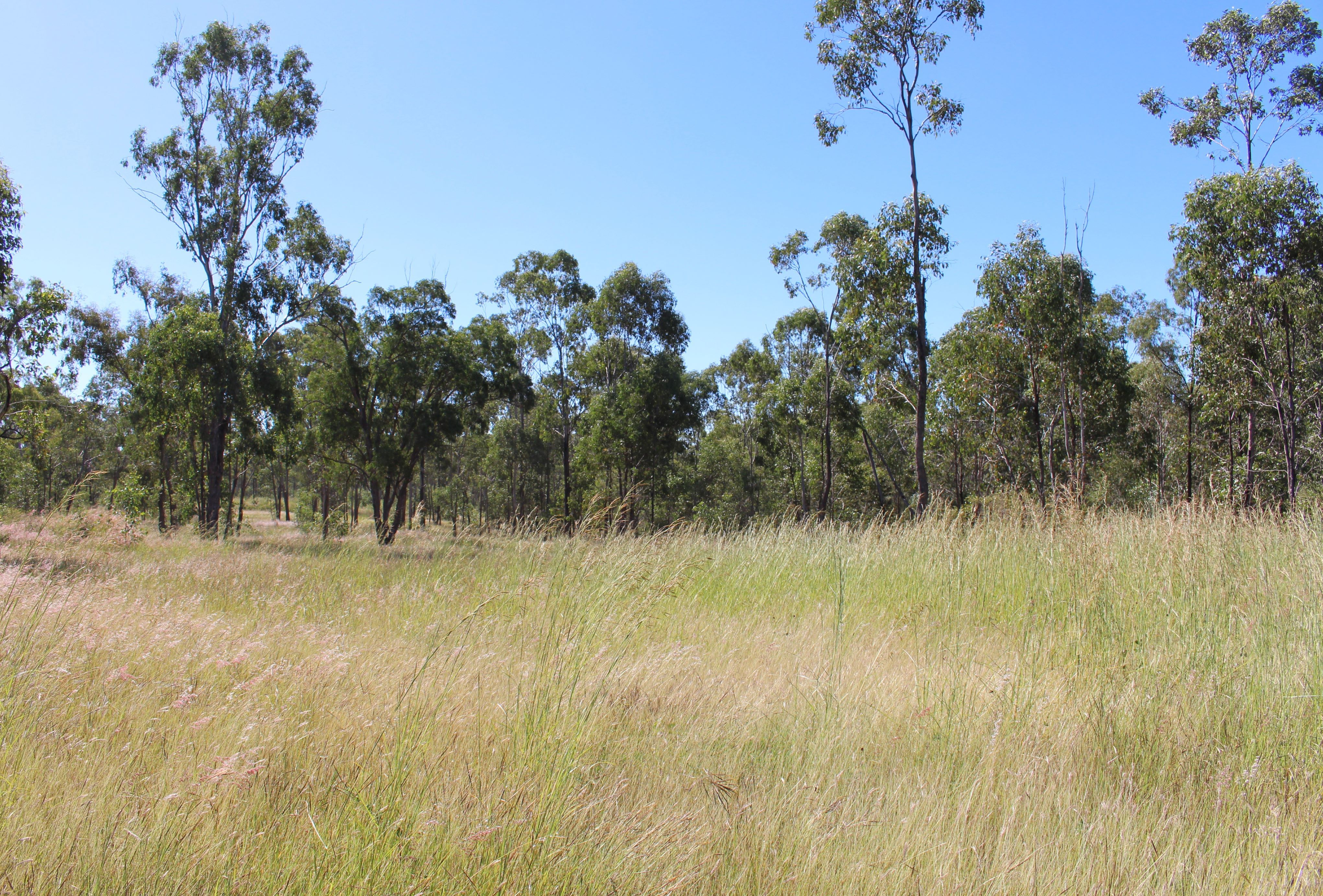 53821 Bruce Highway — photo from Ray White Rural Gracemere