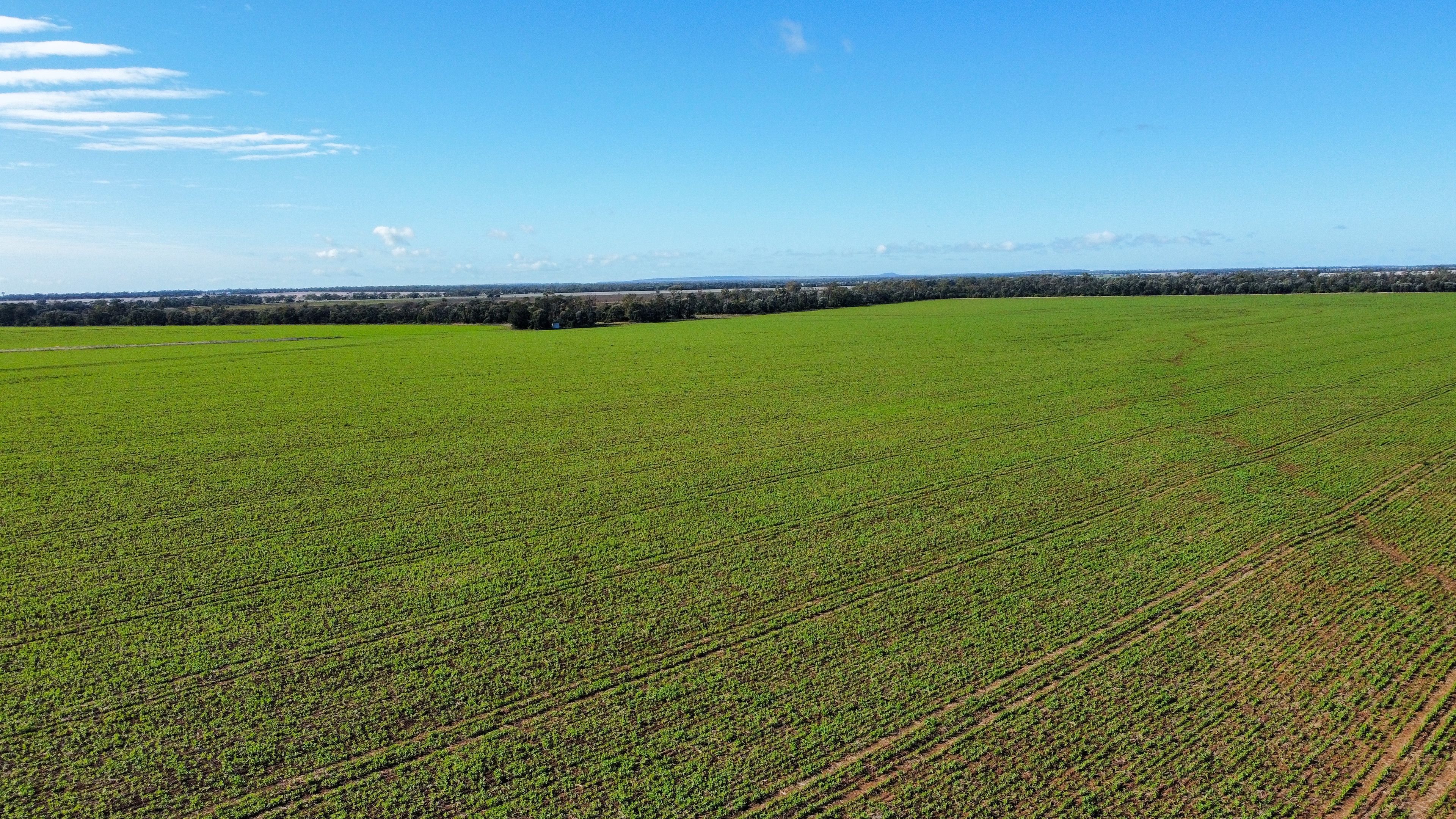 "Leyland" 356 Mungle Road, North Star, NSW 2408 Sold Rural Cropping