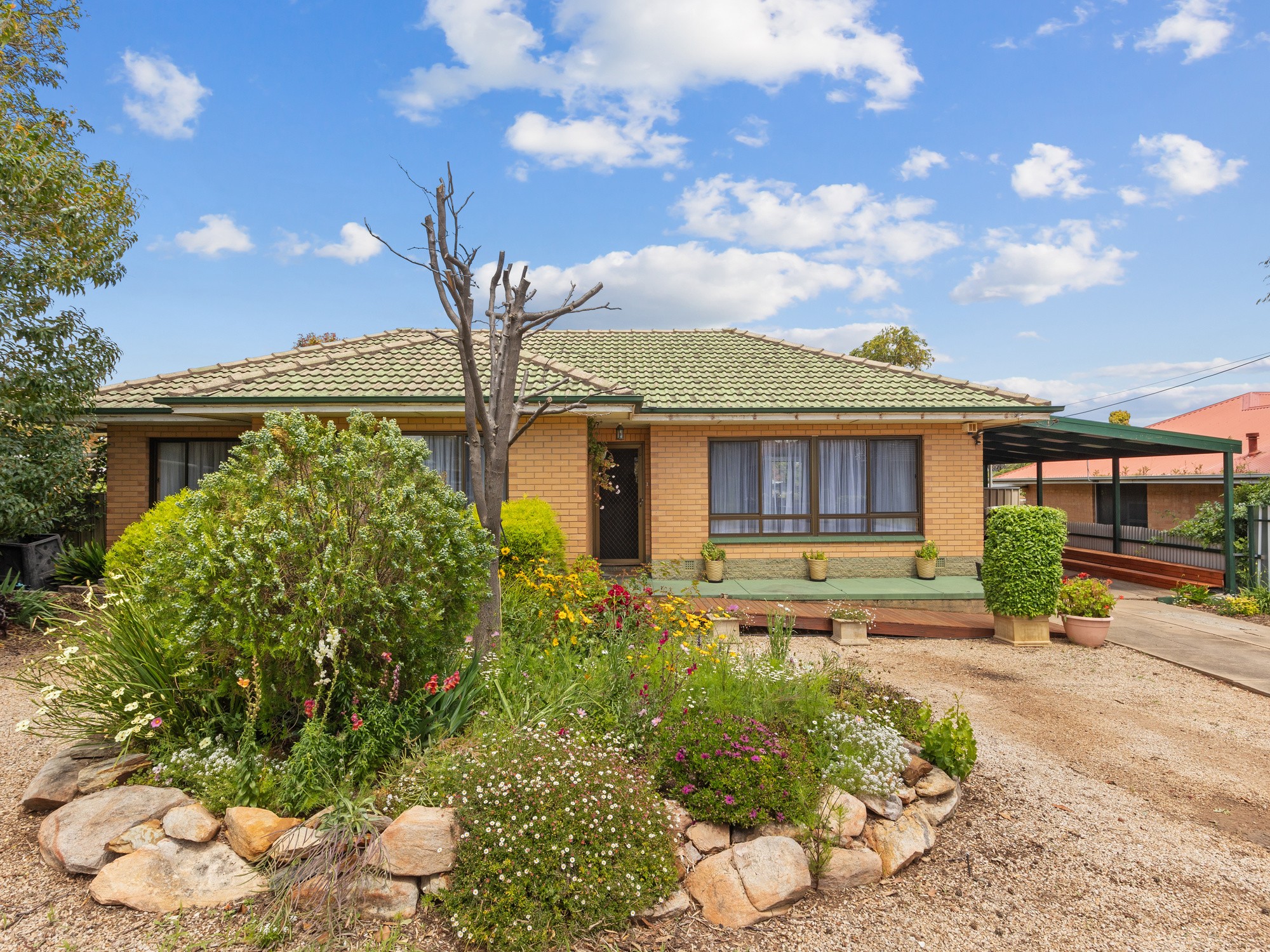 12 Attridge Road, Morphett Vale, SA 5162