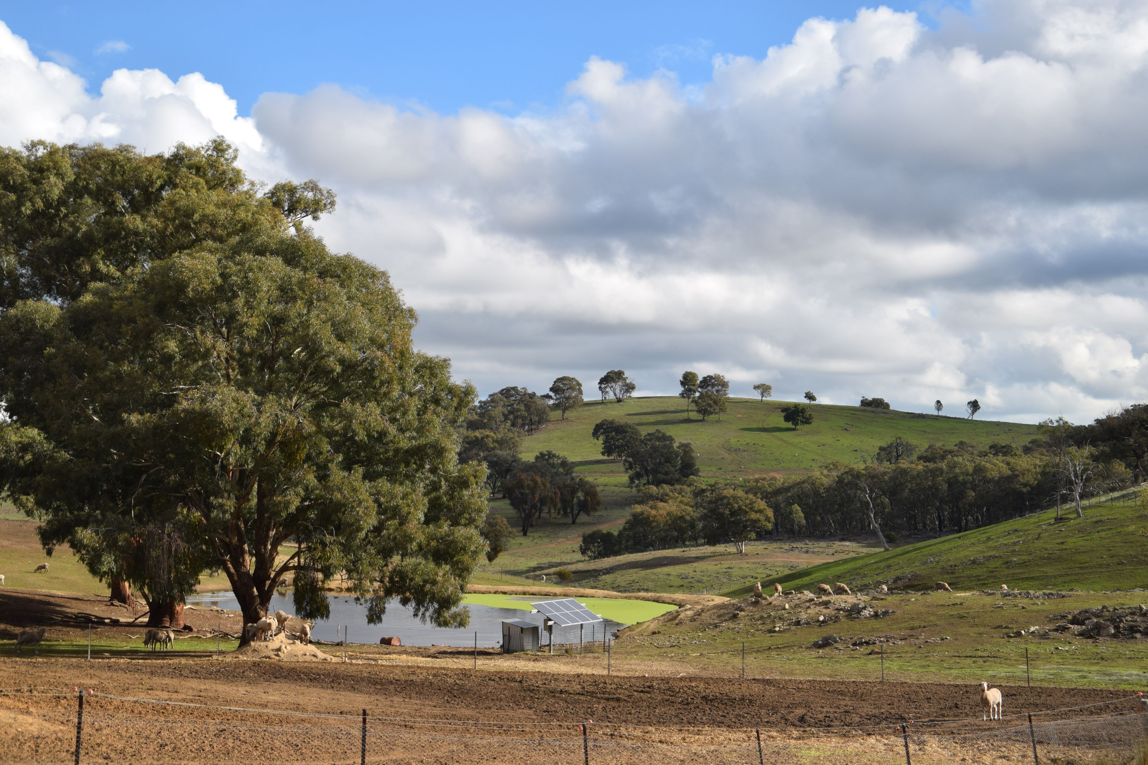 'Morella' 1257 Bundalah Road — photo from Ray White Rural Dubbo