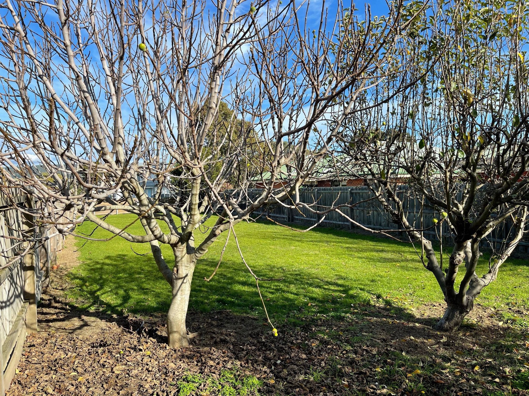 27 Balmoral Avenue — photo 14 of 23