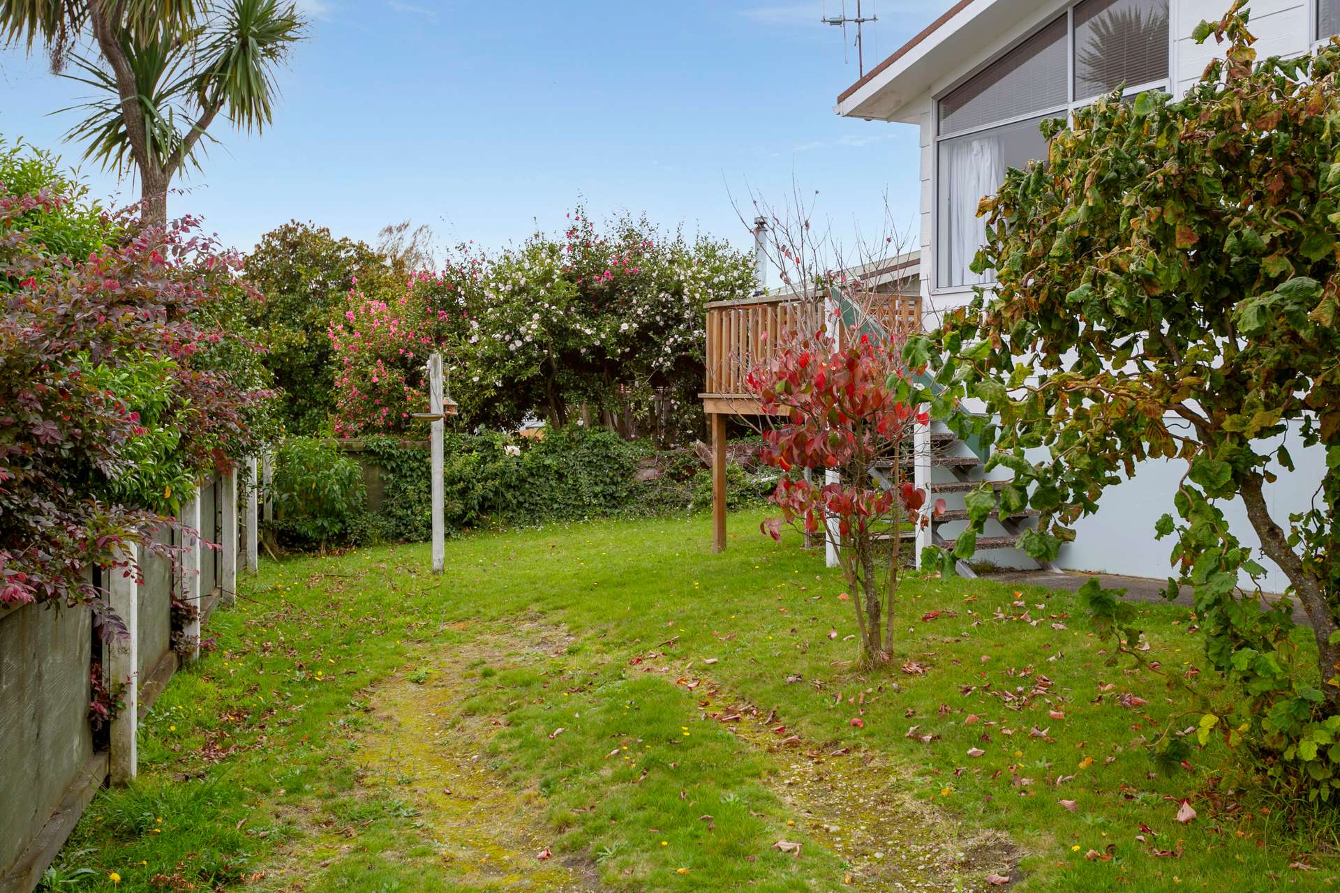 54 Richmond Avenue photo 22