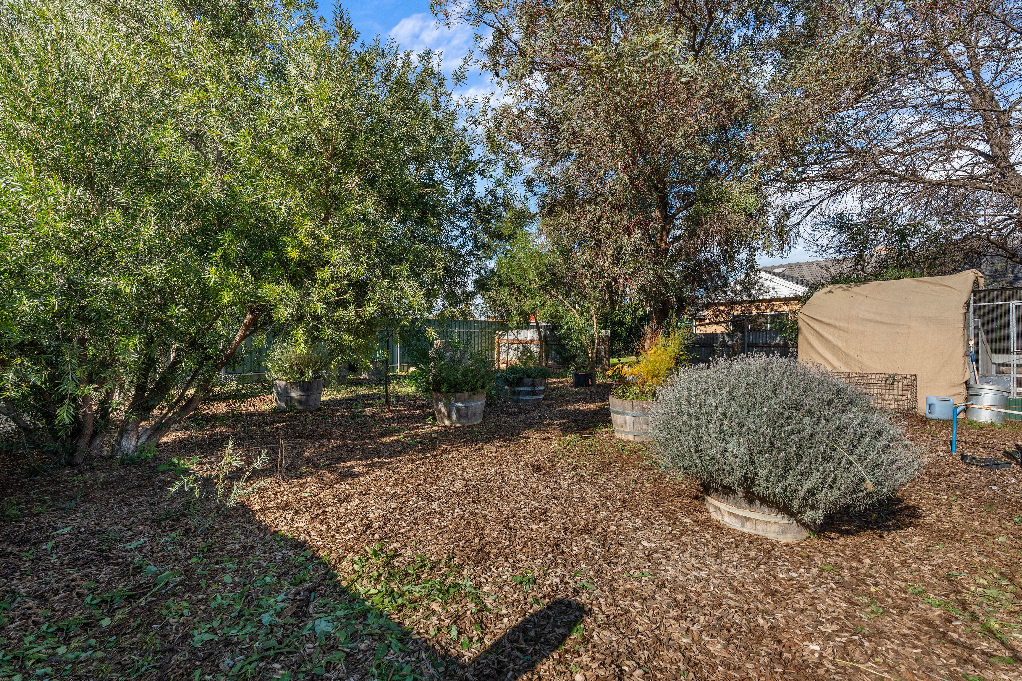 45 Edith Terrace — photo 24 of 27