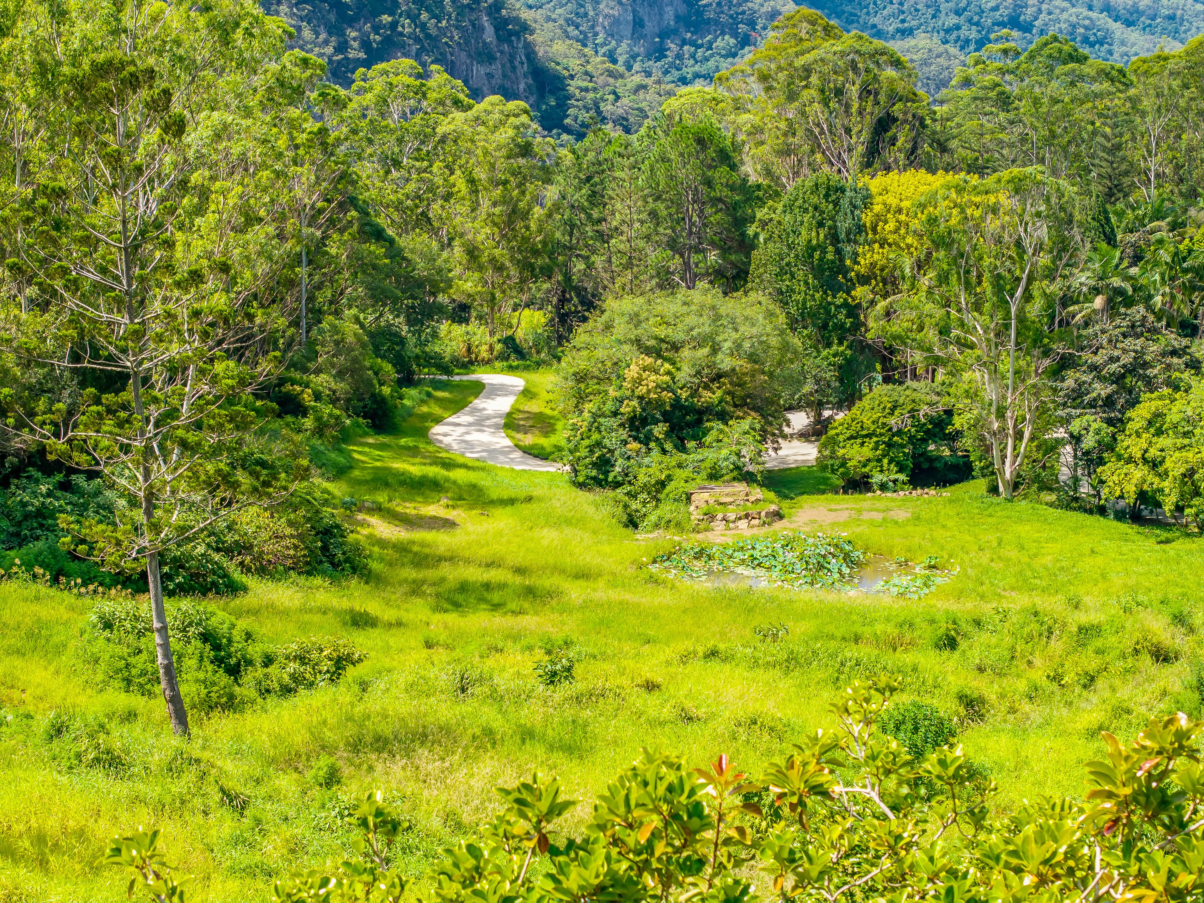 98-196 Guanaba Road — photo 13 of 26