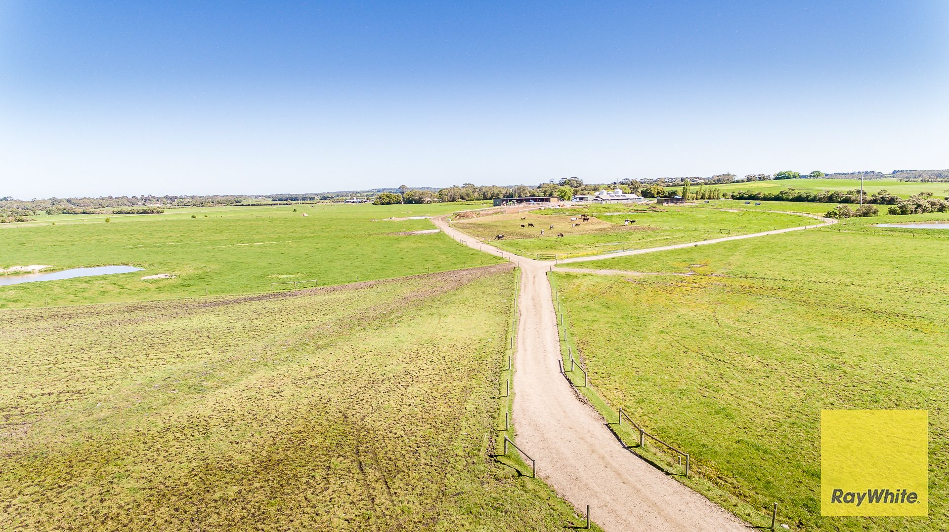 Outstanding Dairy Opportunity — photo 11 of 30