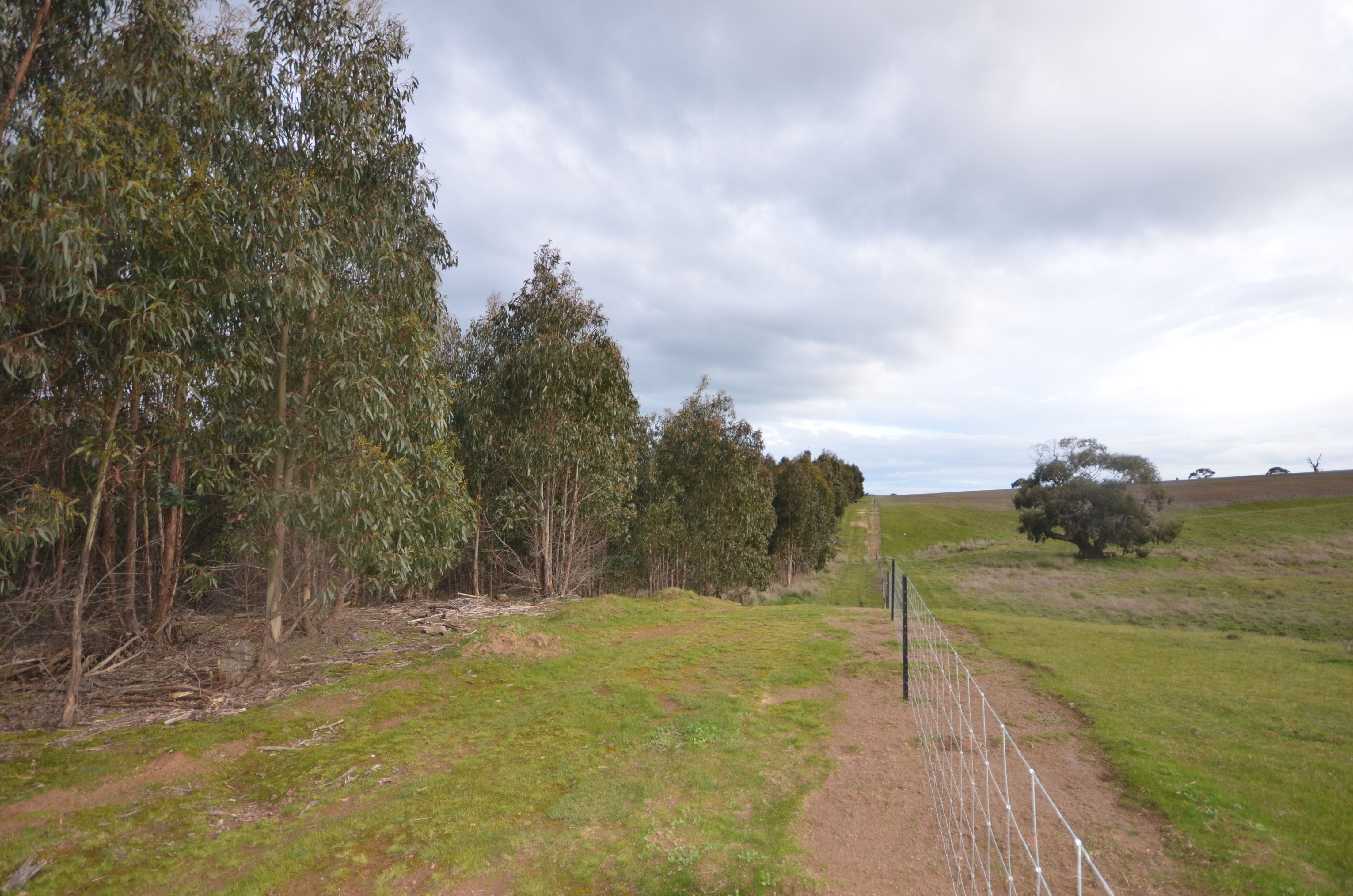 CA 46 Moreton Hill Road, SKIPTON, VIC 3361
