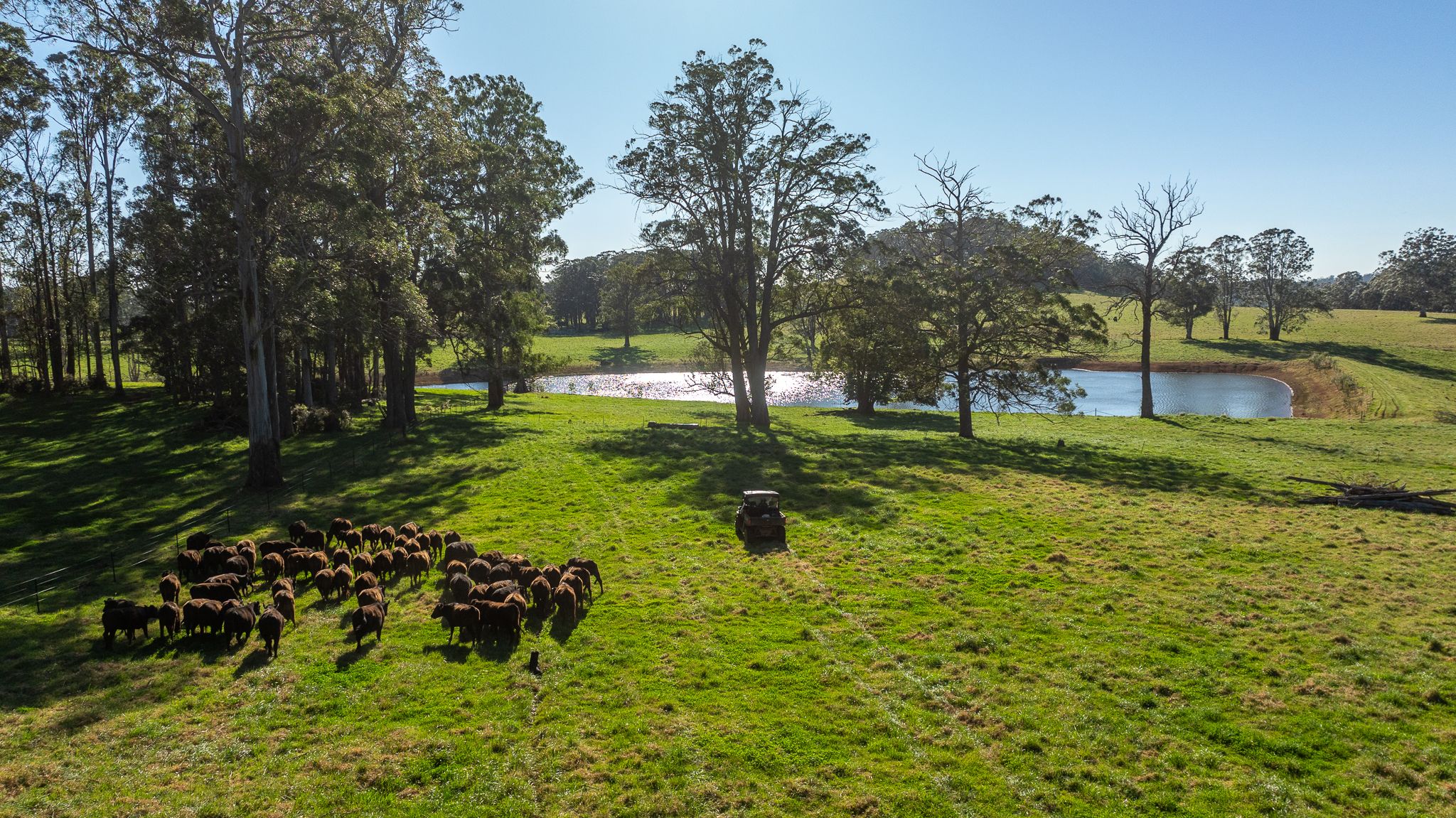 193 Faheys And Bulgins Road, Hernani, NSW 2453