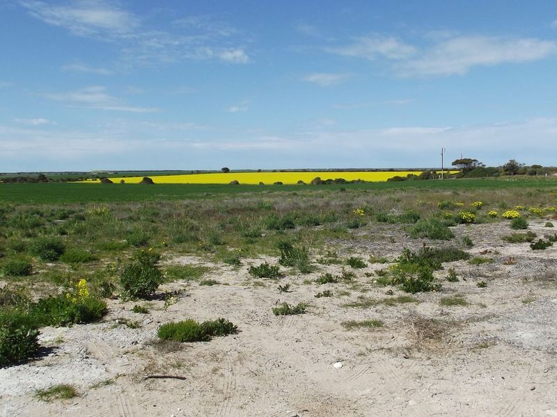 Lot 57 Swincer Avenue, Bluff Beach, SA 5575
