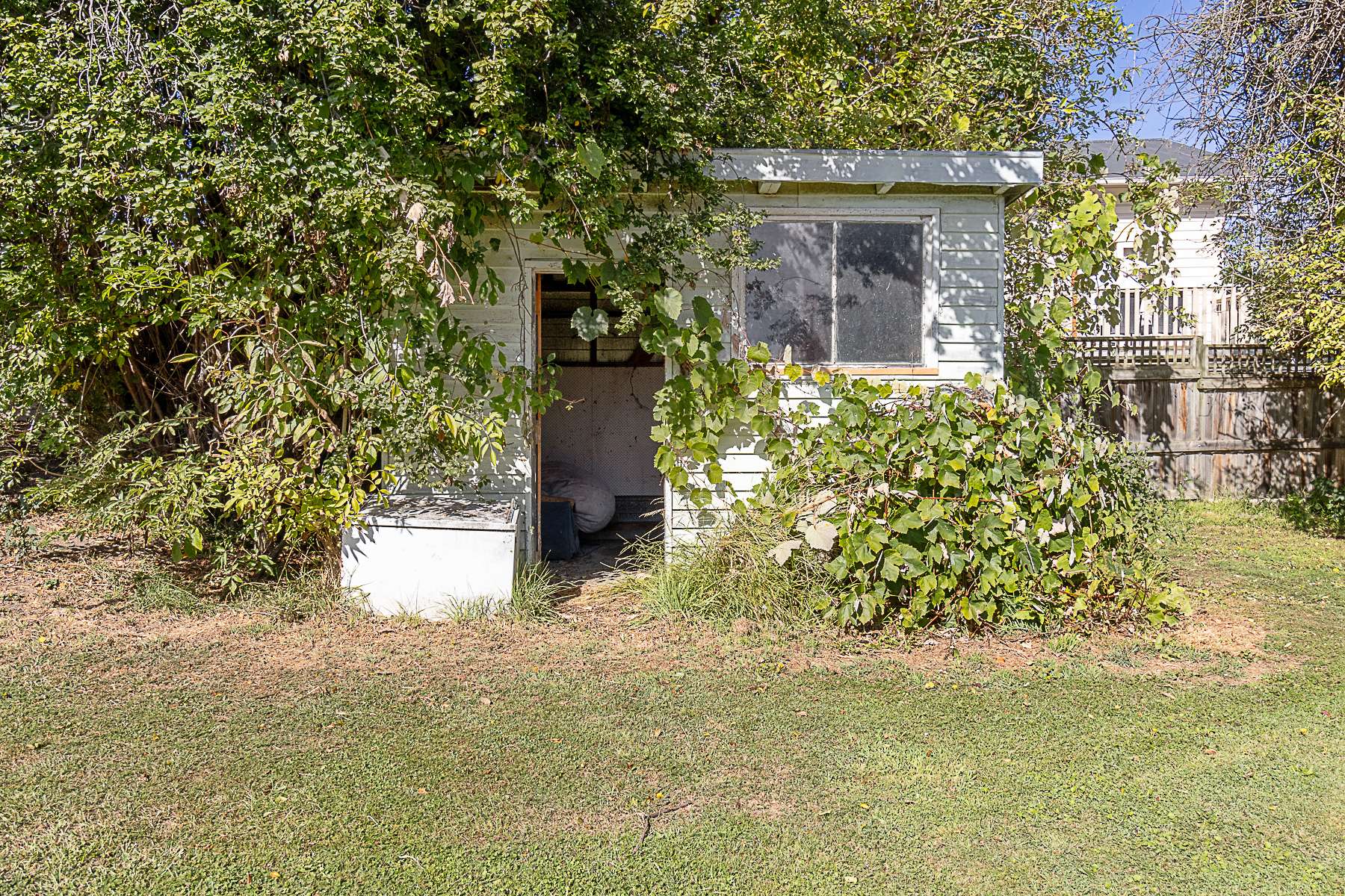 18 Holdaway Street photo 11