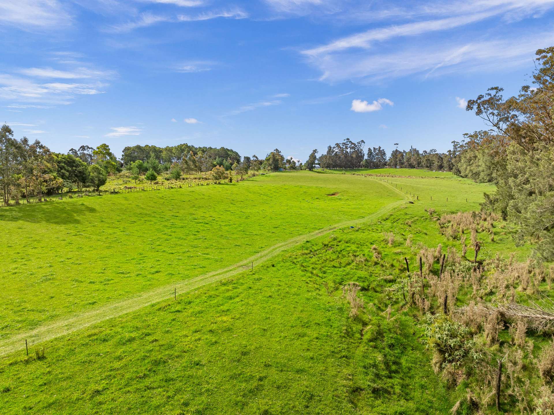 Kerikeri  Far North District  0230 photo 5