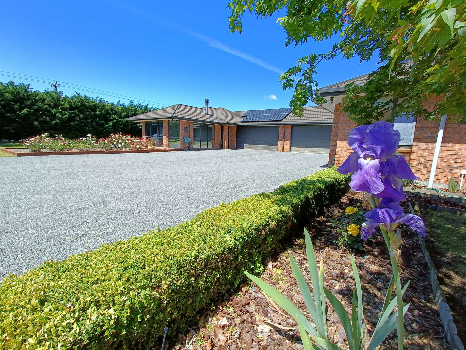 909 Downs Road photo 4