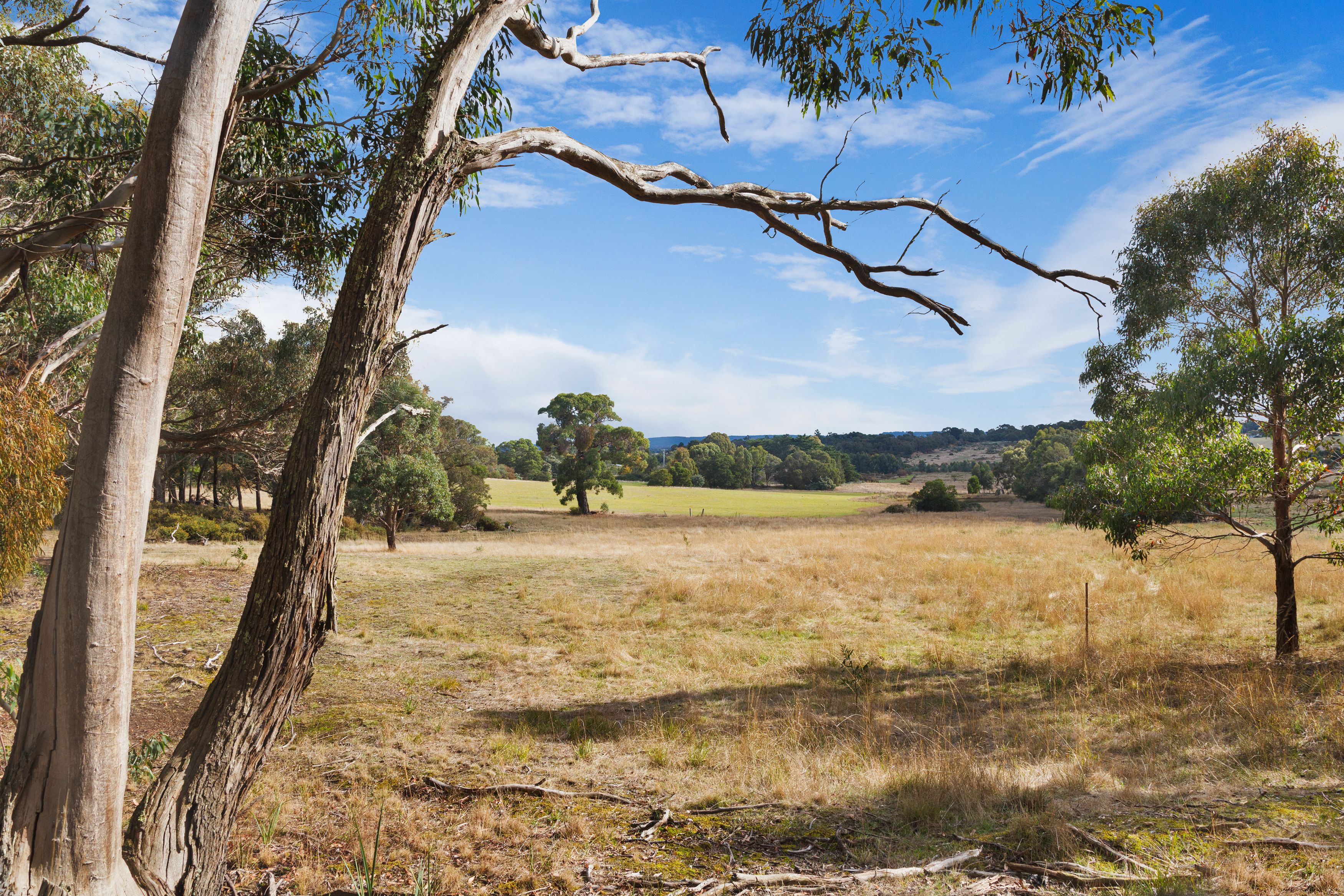 Somerville Street, Buninyong, VIC 3357