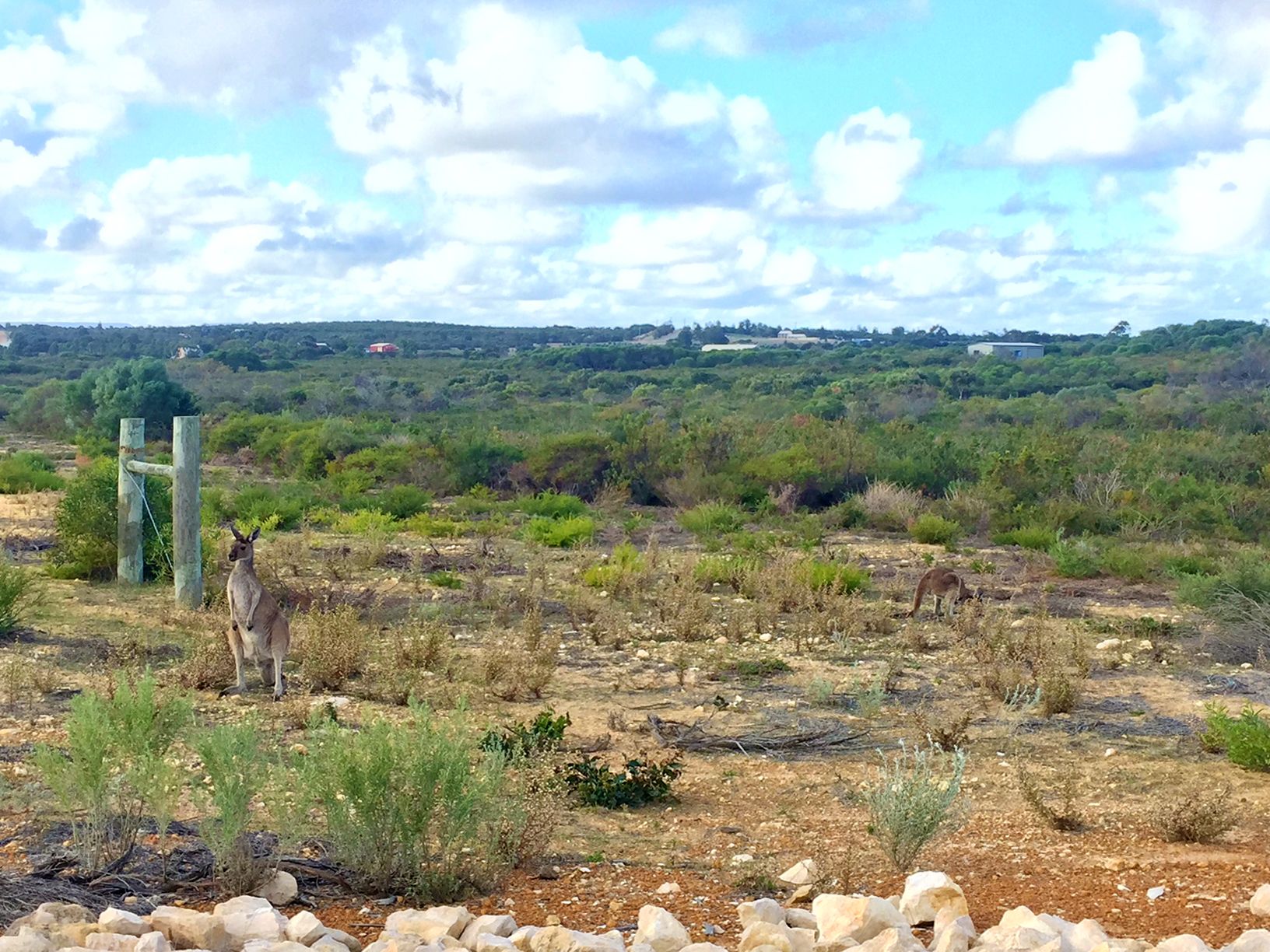 Lot 176 Trig Point Road, Jurien Bay, WA 6516