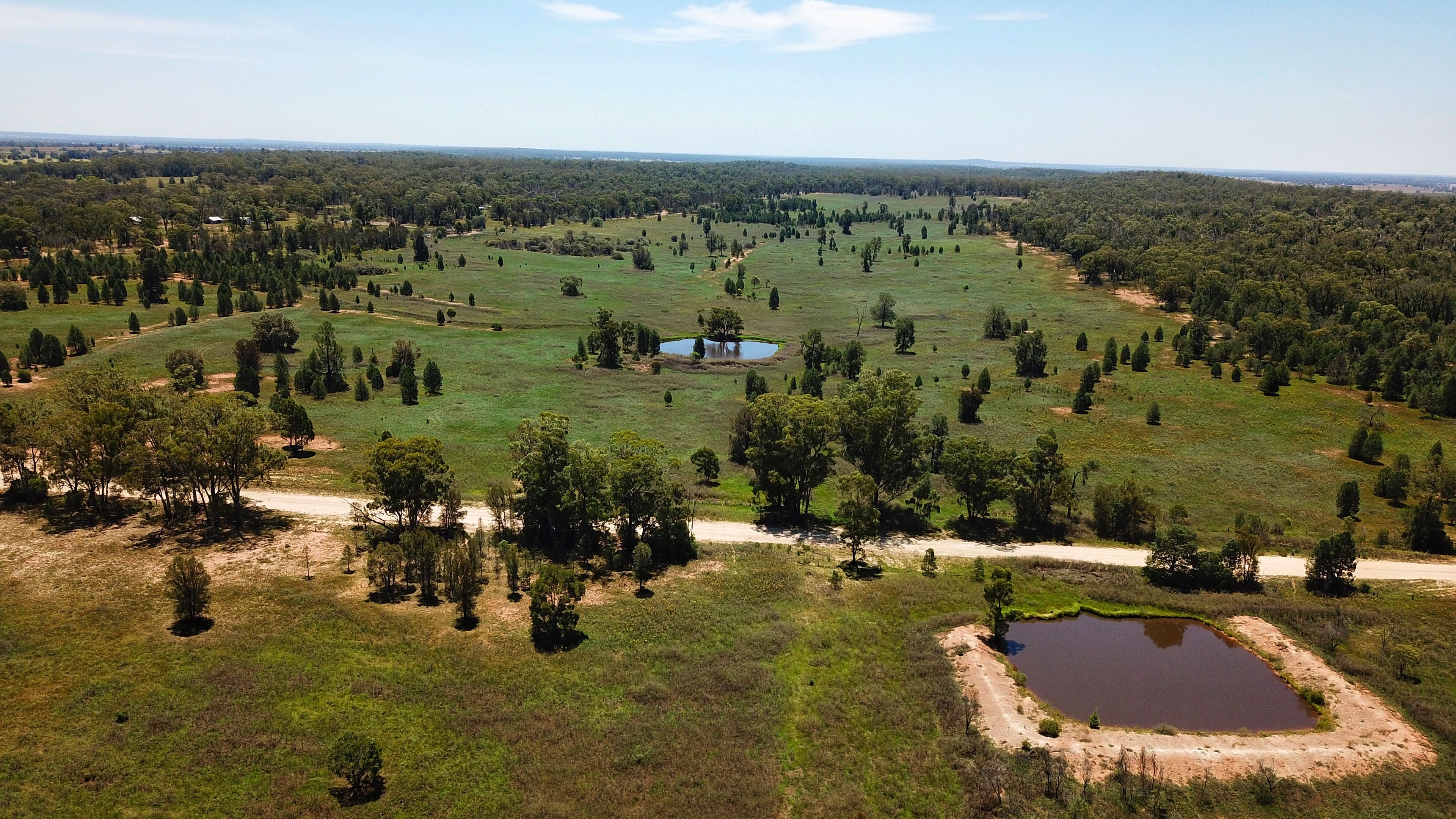 Elo 3498 Peak Hill - Tullamore Road, Peak Hill, NSW 2869