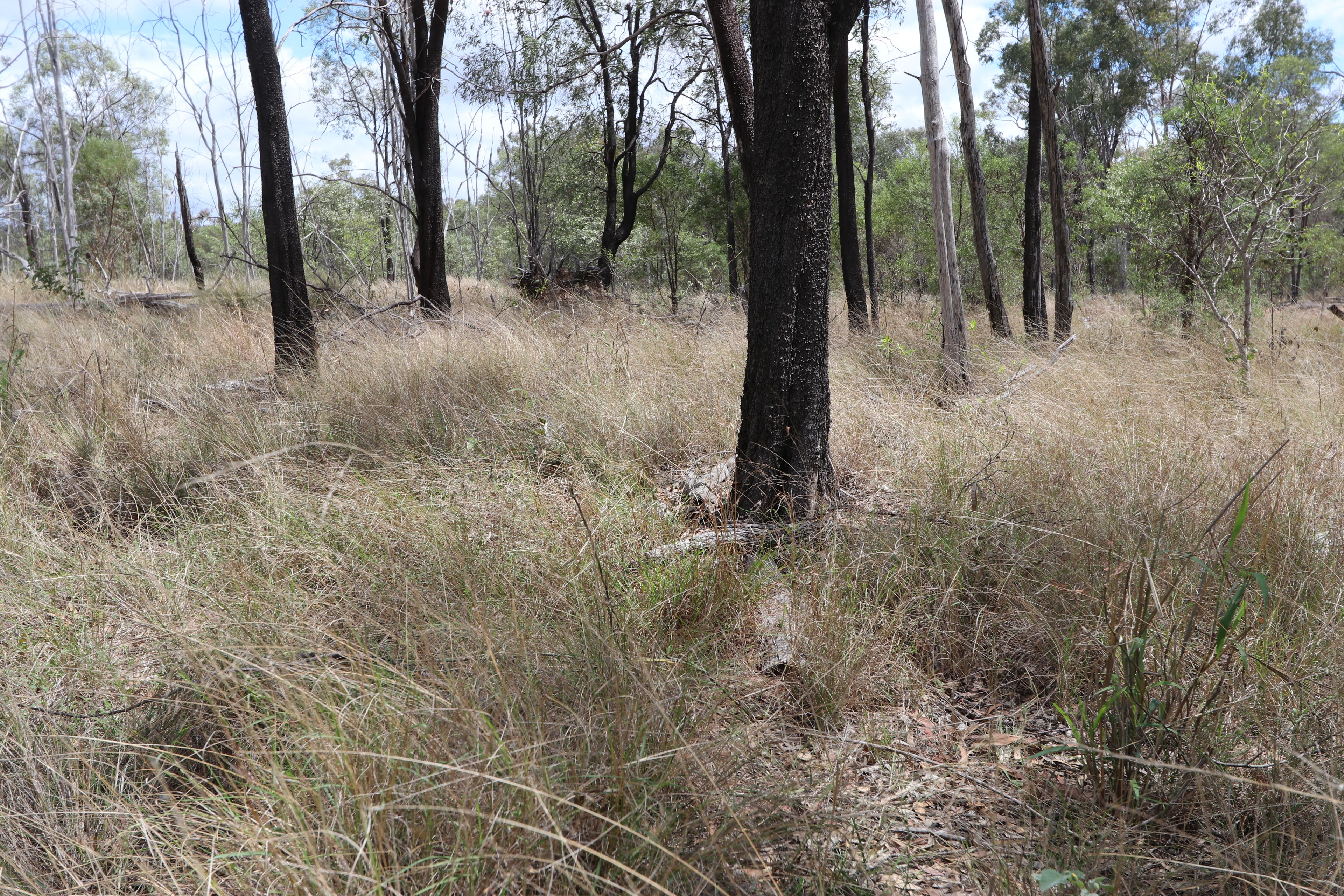 "Penlyn Hills" 811 Lowries Road — photo 16 of 18
