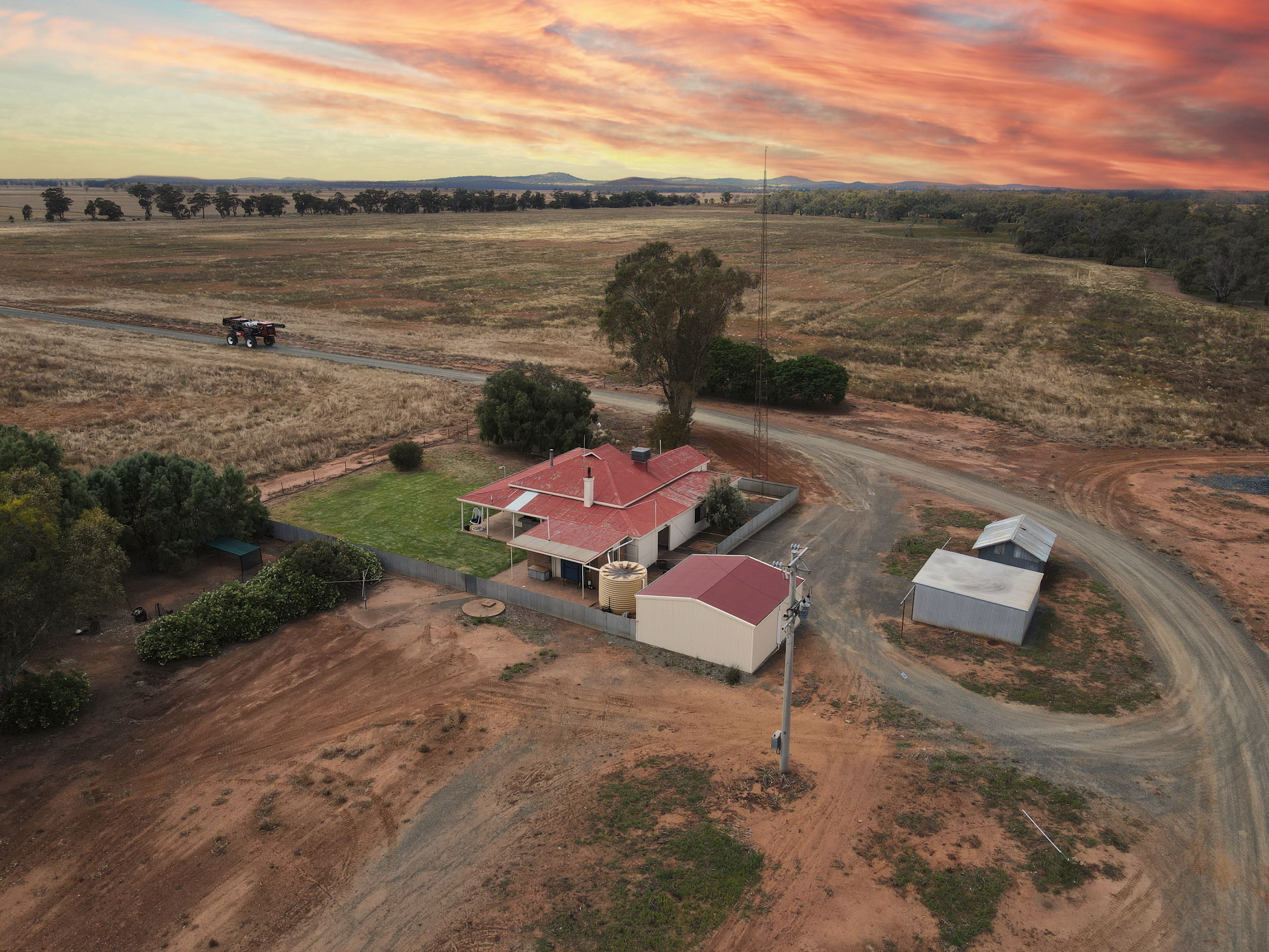 "Allendale Aggregation" 233 Warbilla Road, Barmedman, NSW 2668
