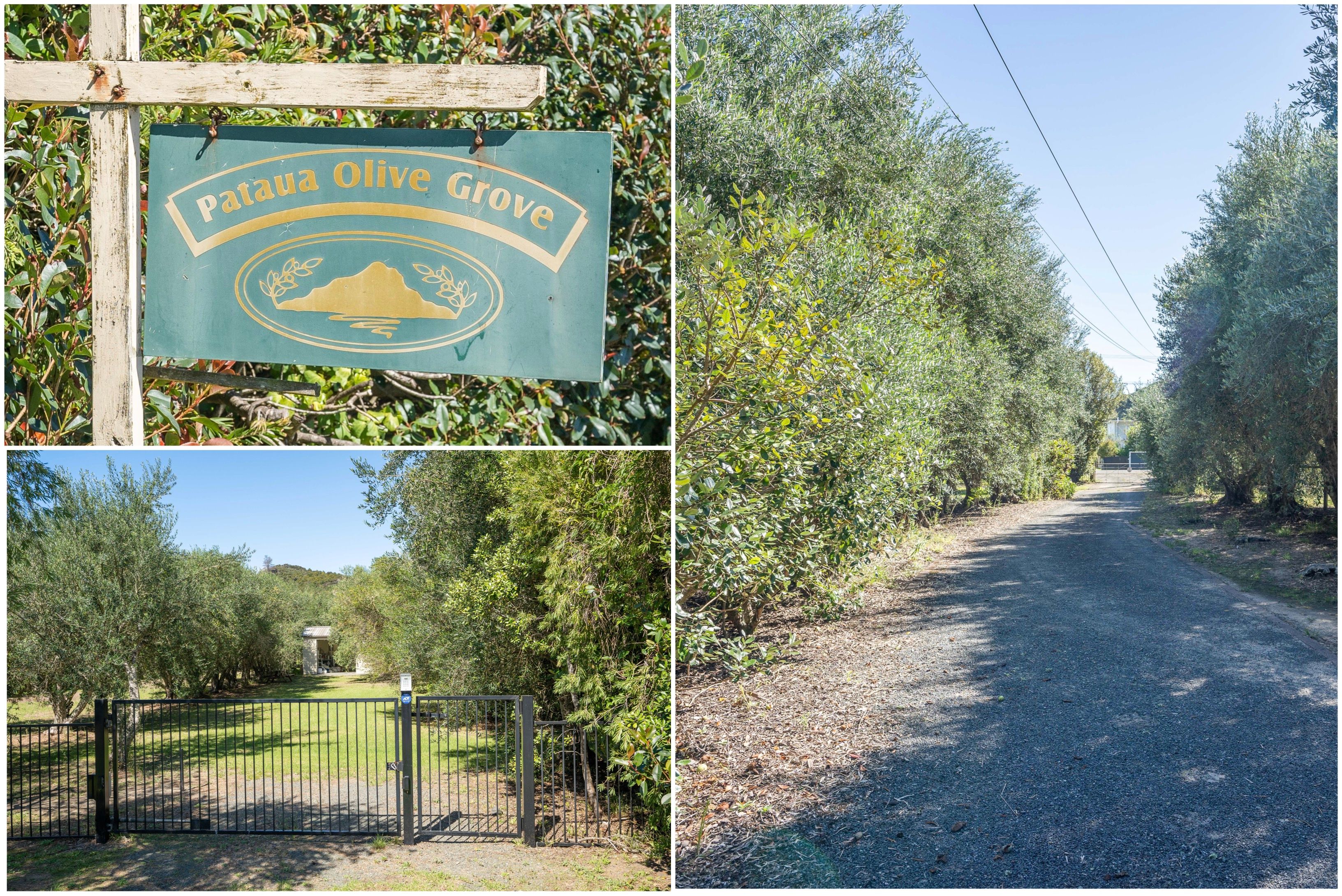 28 - 50 Mahanga Road, Pataua, Whangarei District