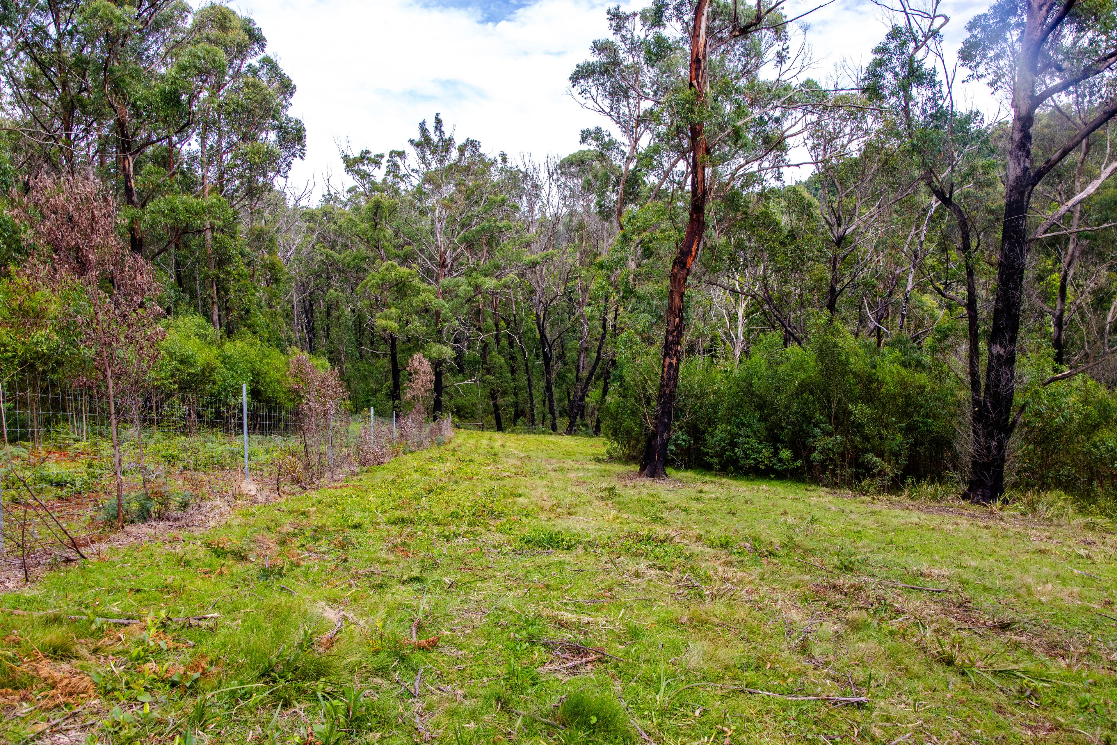 Lot 4 Braidwood Road — photo 10 of 17