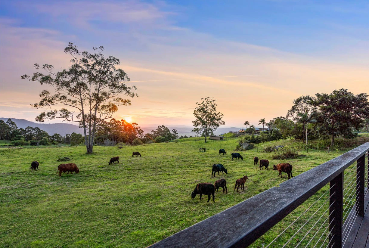 429A Main Western Road, Tamborine Mountain, QLD 4272