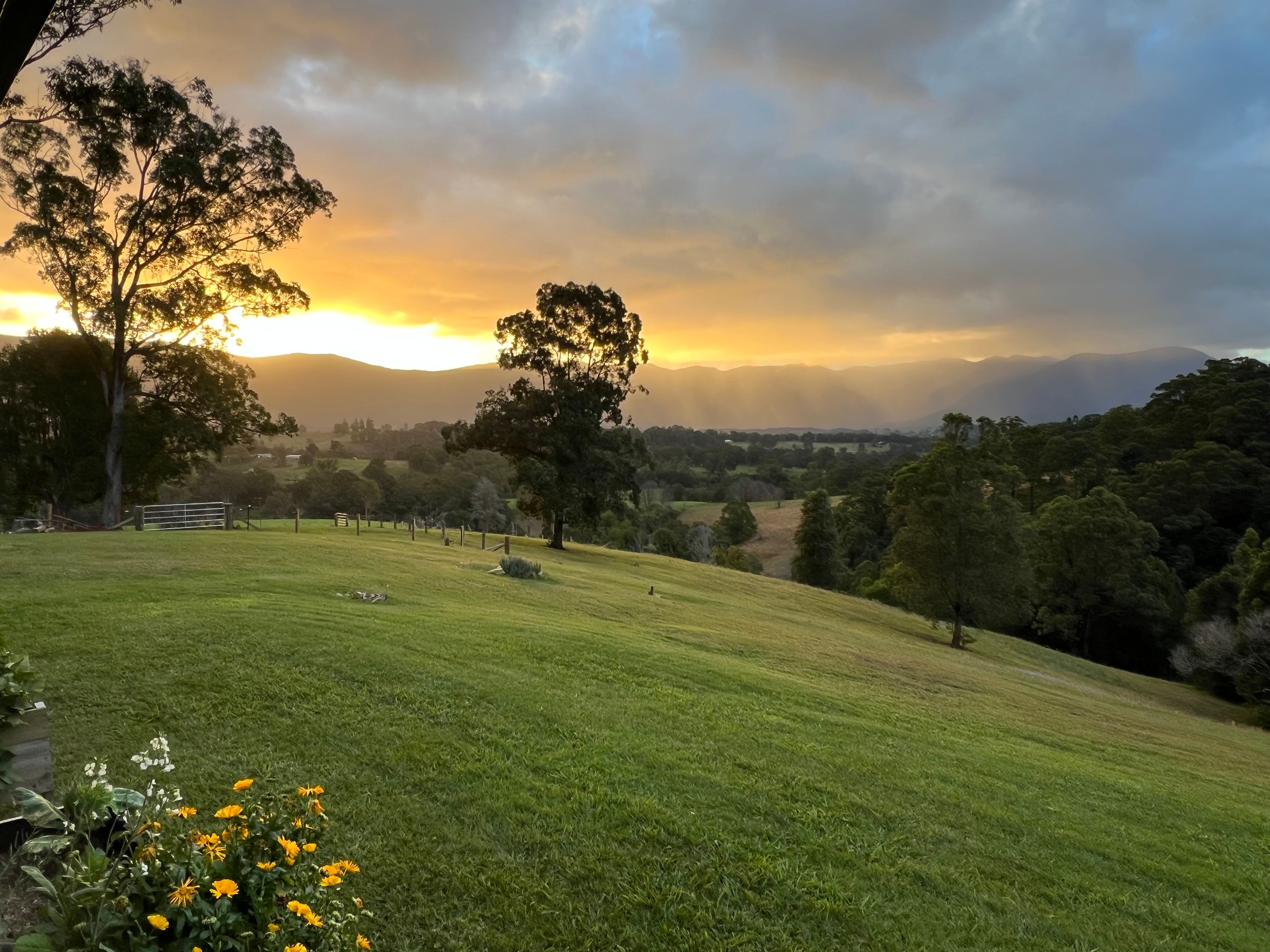 1475 Byrrill Creek Road — photo from Ray White Rural Murwillumbah