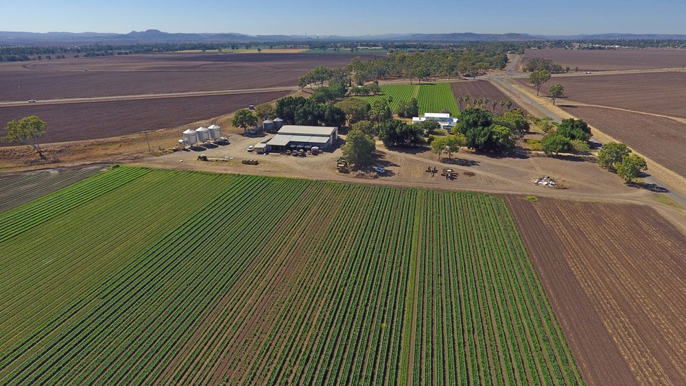 Biloela, QLD Rural Rural Mixed Farming Property Sold