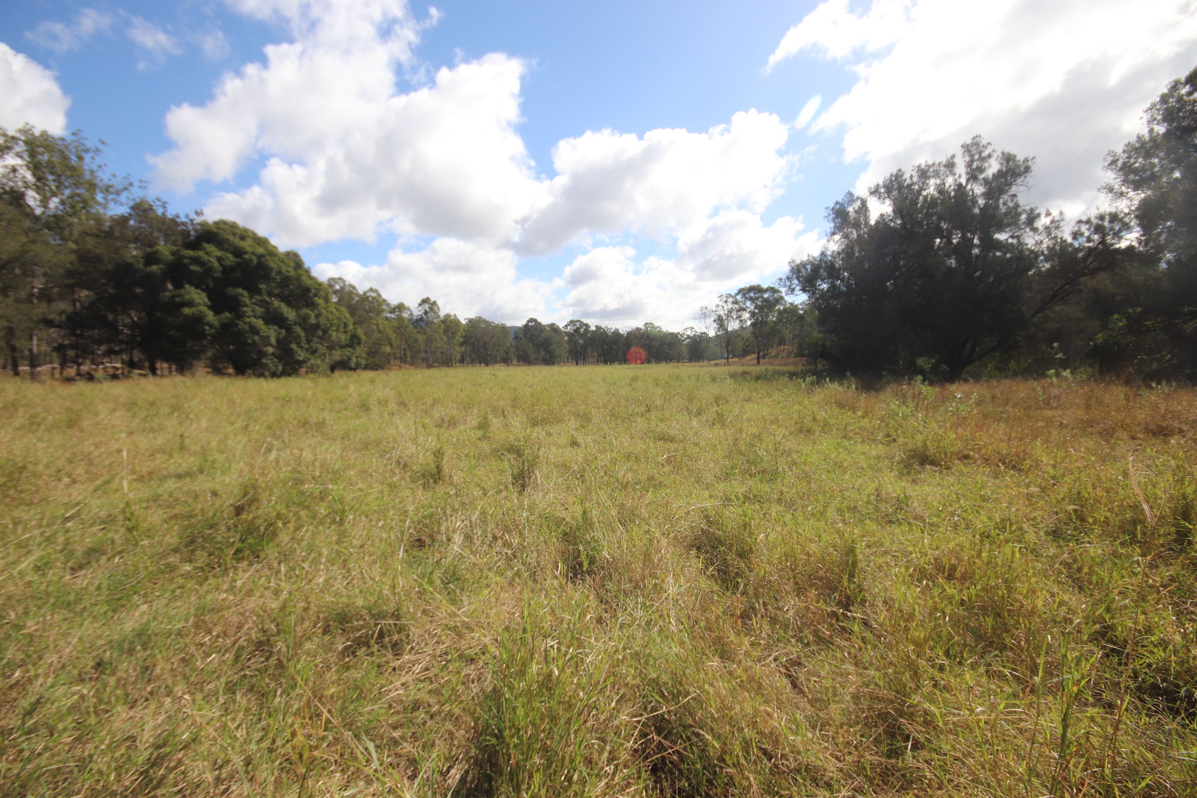 Lot 43 and Lot 50 Kalliwa Road, Mingo — photo 3 of 29