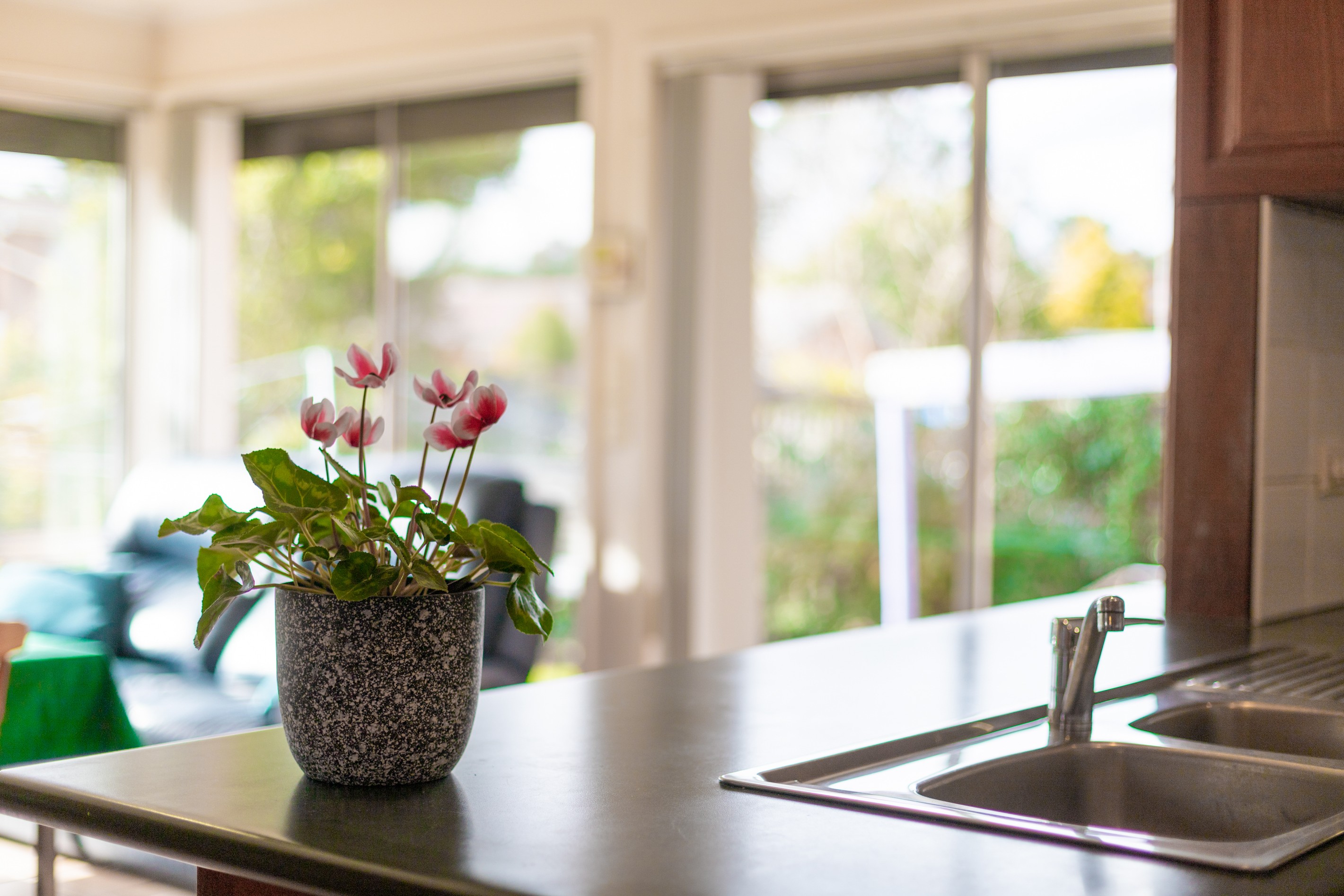 104 Pennefather Street, Higgins, ACT 2615